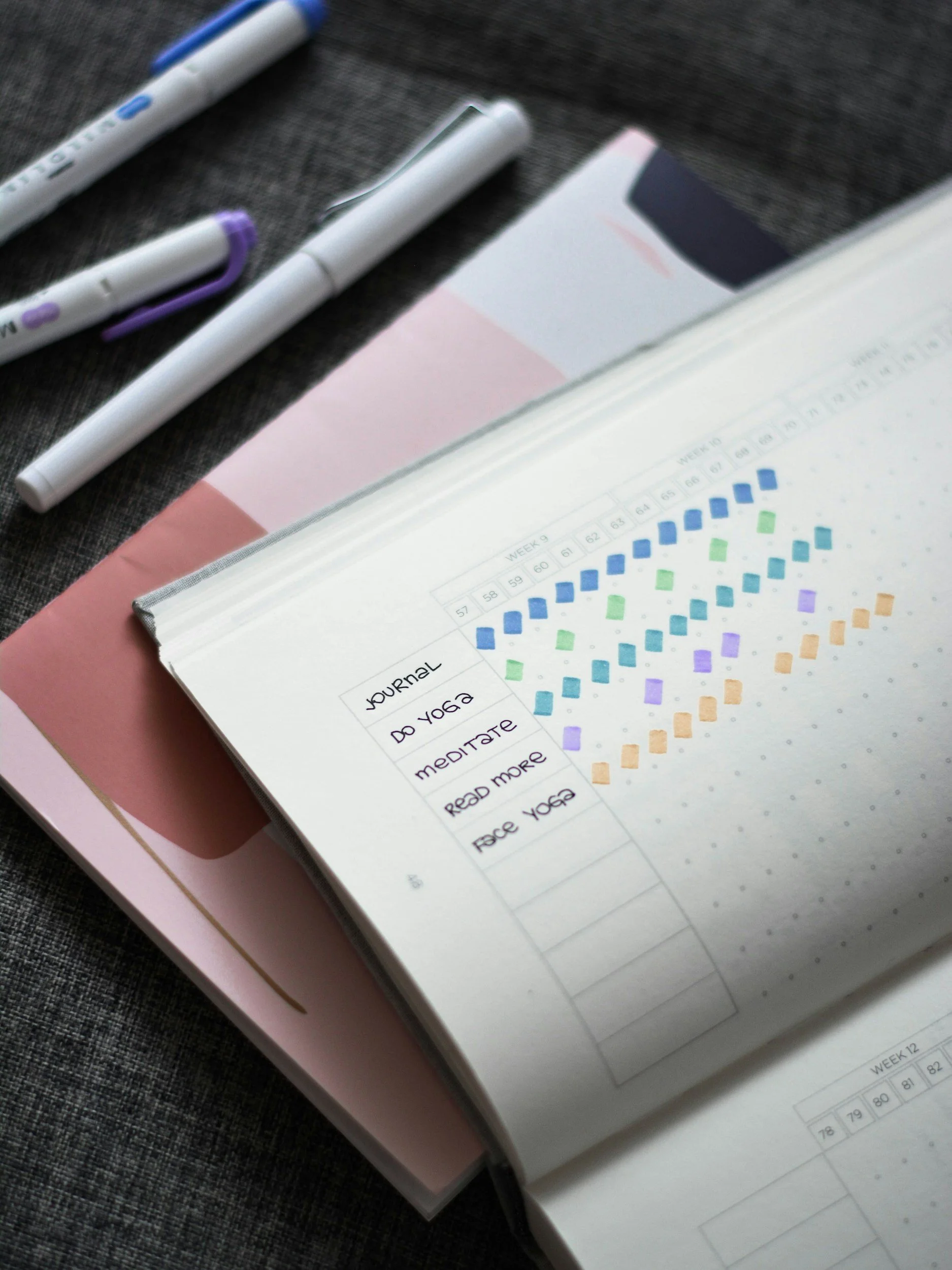 Image of habit journal with multiple habits listed with colorful tick marks next to each for each day completed in colorful pen