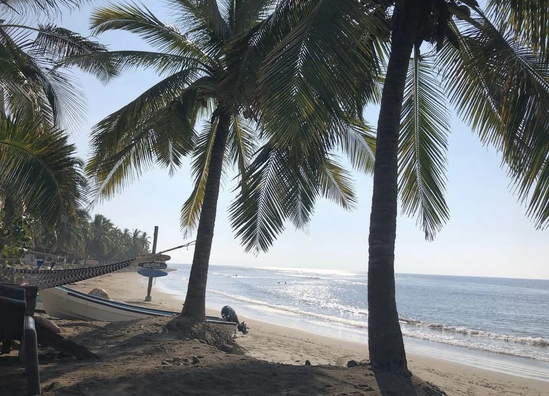 Plain Aesthetic Glass Barbecue Containers