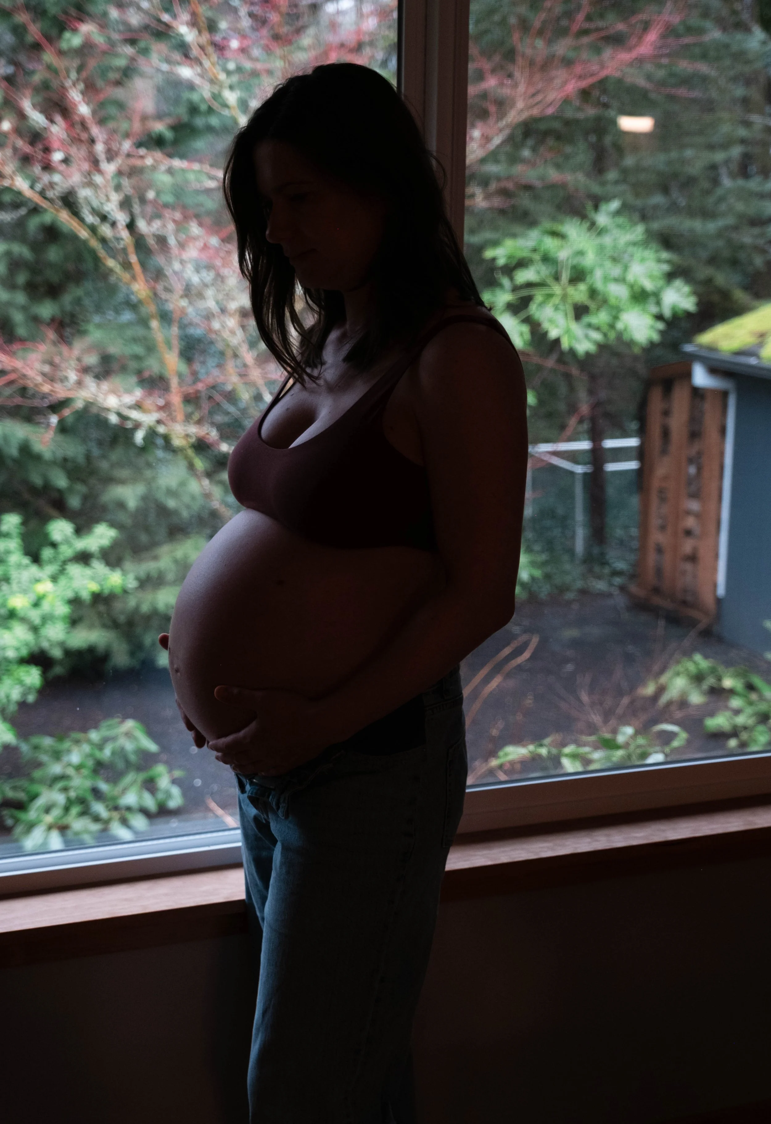 Silhouette of a pregnant woman standing indoors near a window, with an outdoor garden visible behind her.