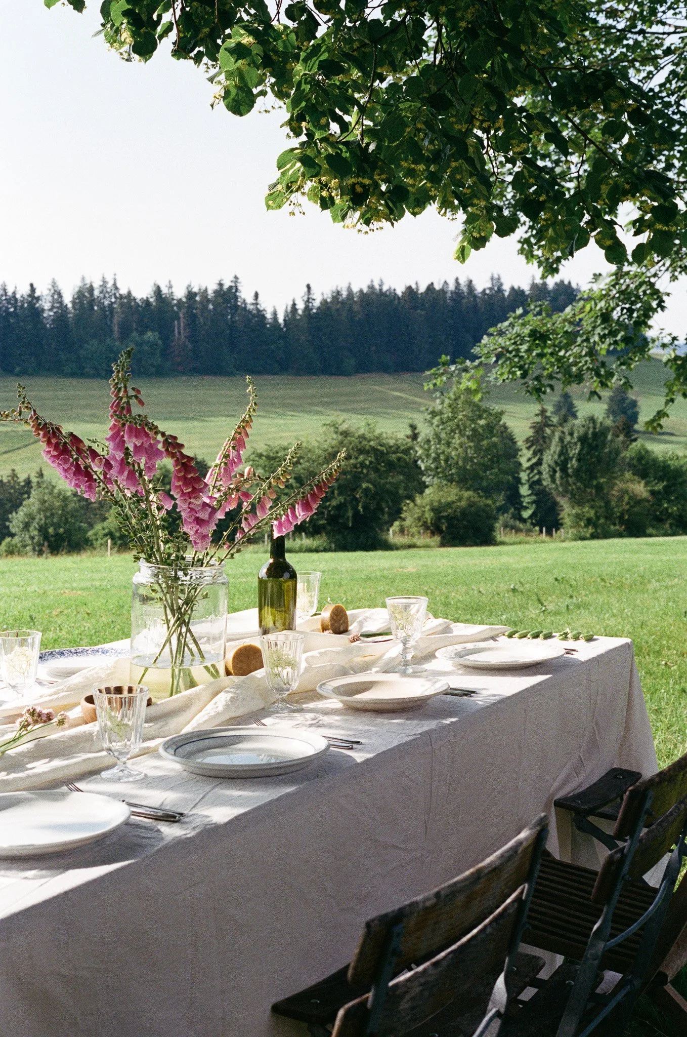 An outdoor banquet table set with white plates, wine glasses, and silverware, decorated with a flower arrangement in a glass jar, a wine bottle, and a white tablecloth, situated in a grassy area with trees and rolling hills in the background.
