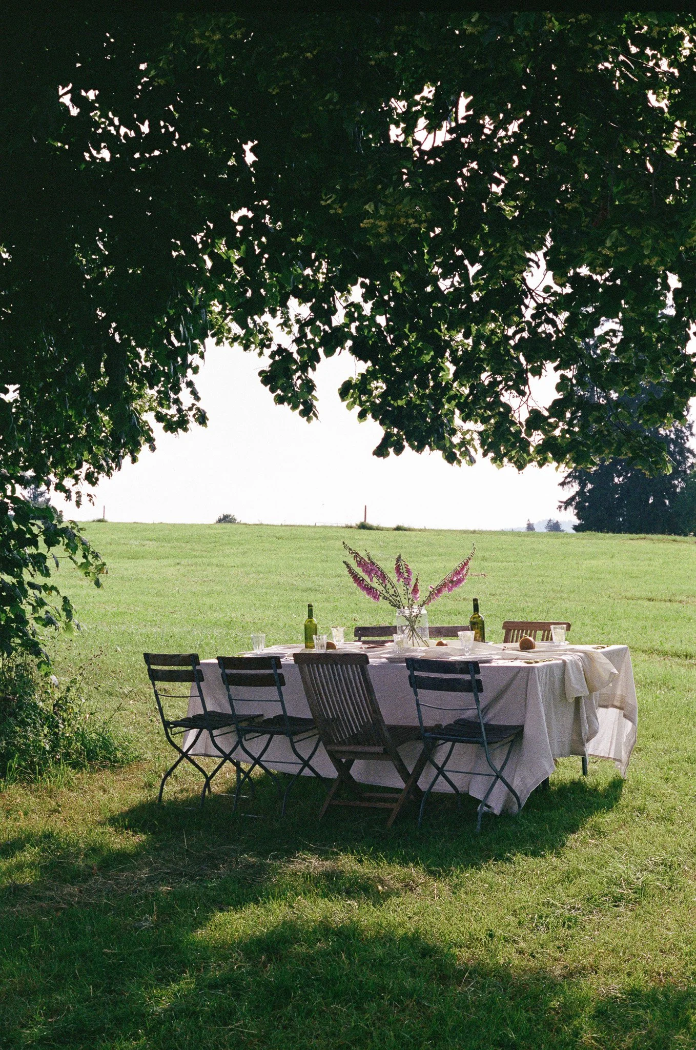 An outdoor dining table with a white tablecloth and a centerpiece of pink flowers, set under a large leafy tree in a grassy field, with bottles, glasses, and plates.