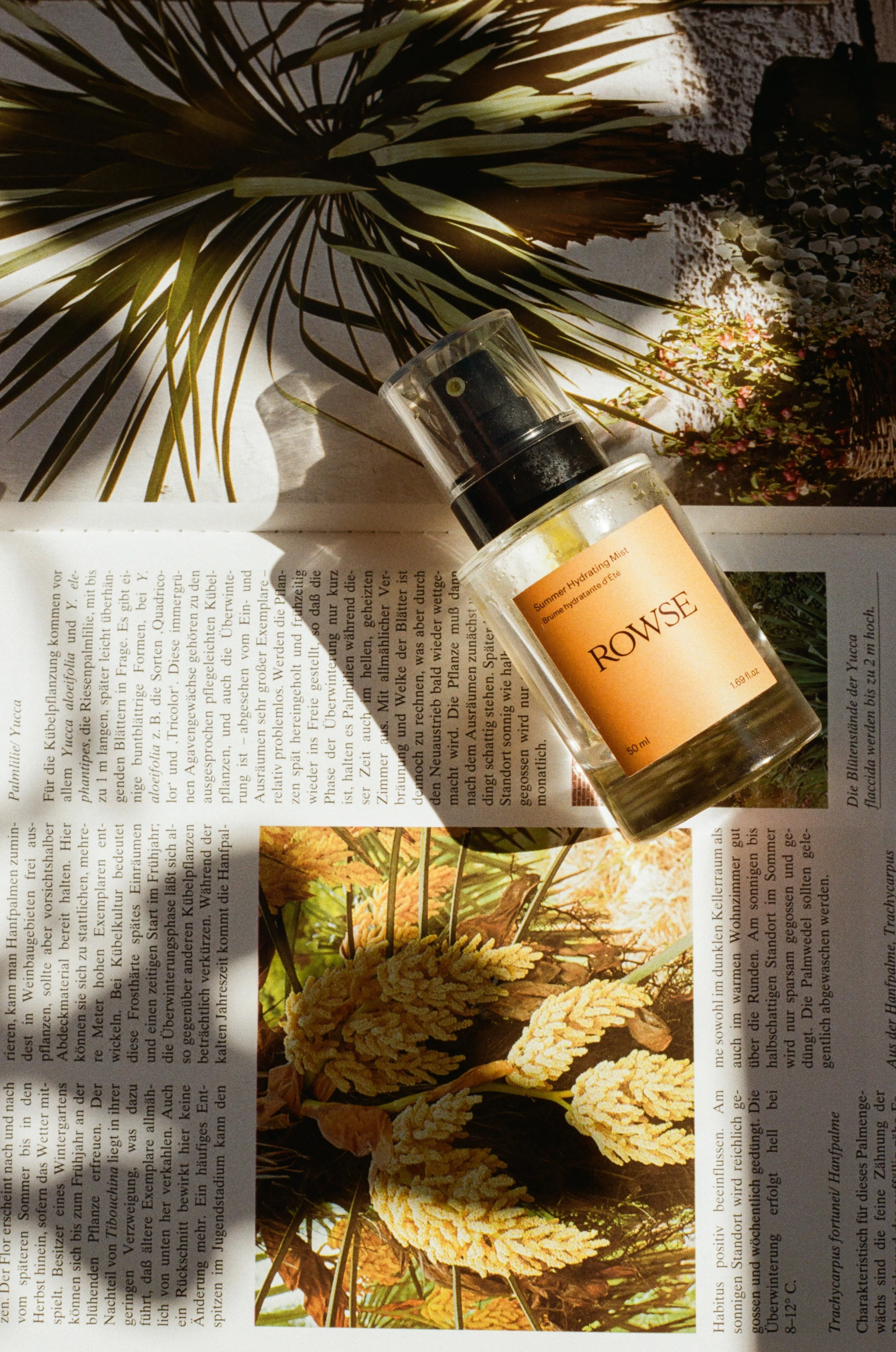 natural cosmetic branding photo