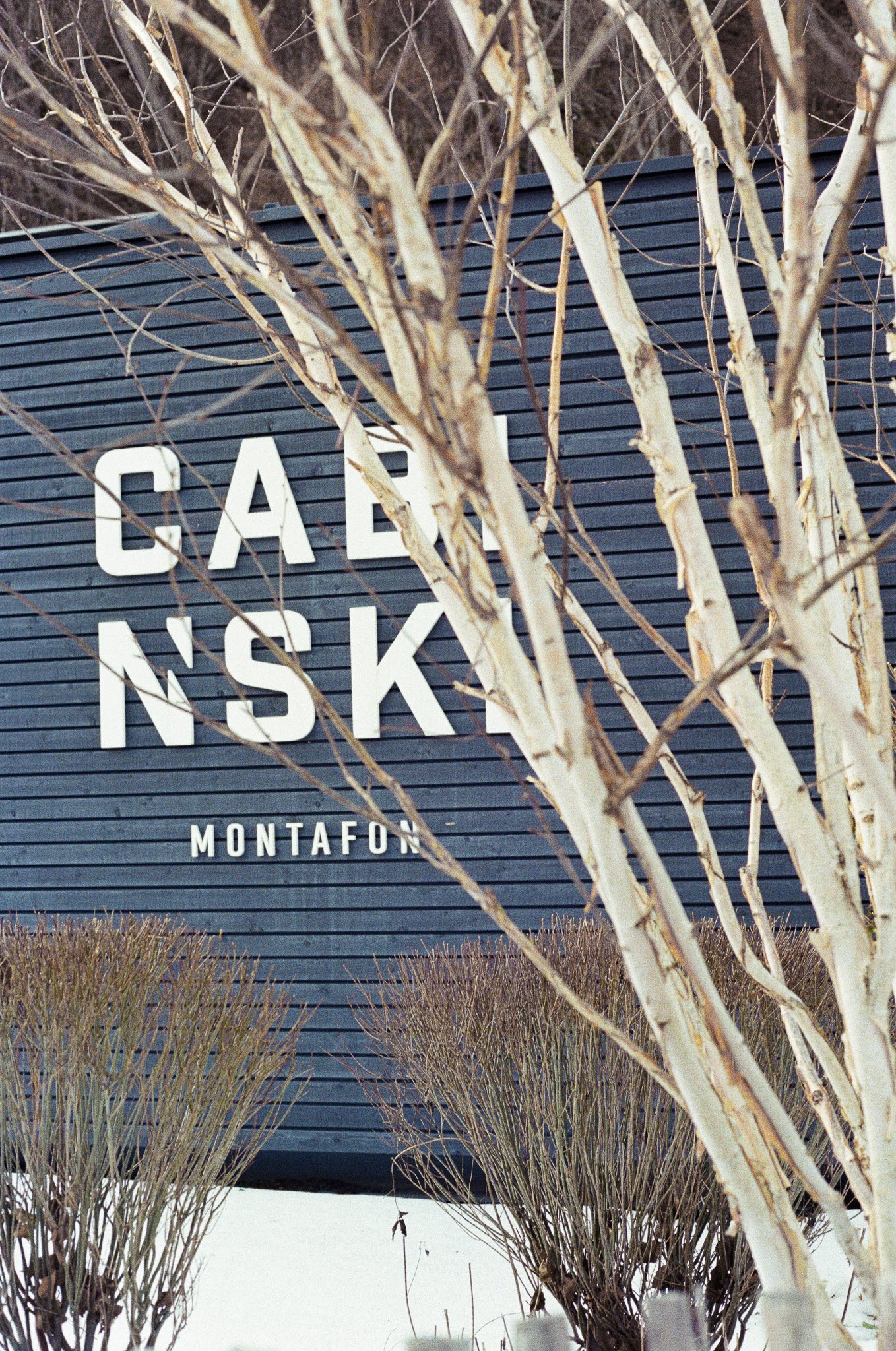 Sign reading 'Cabo Nsk' with plants and leafless trees in the foreground.