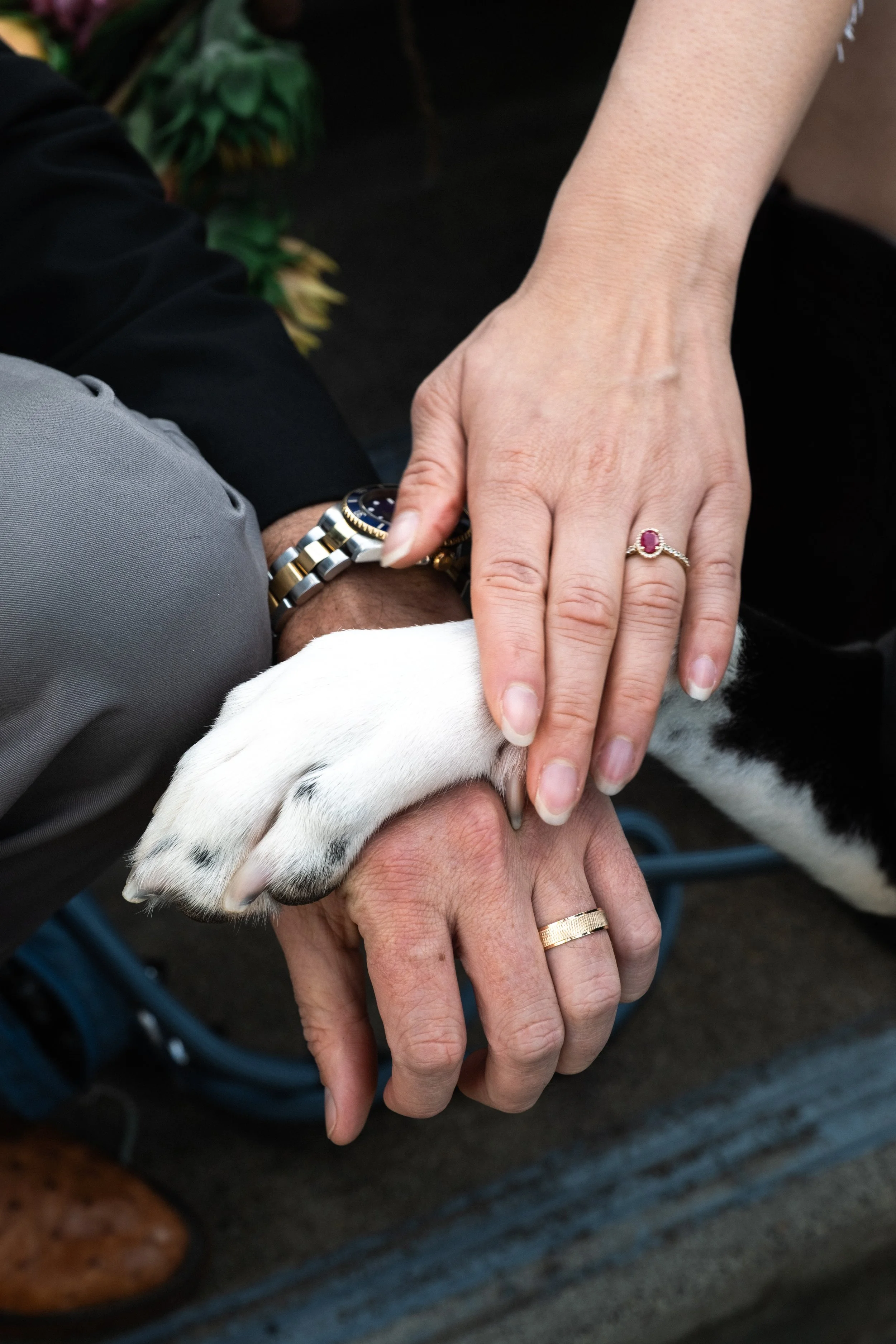 A close-up of hands, an elderly person's hand and a woman's hand, with a dog's paw resting on the elderly person's hand. The woman is wearing a ring with a pink gem and the elderly person has a gold ring, both hands are touching the dog's paw.