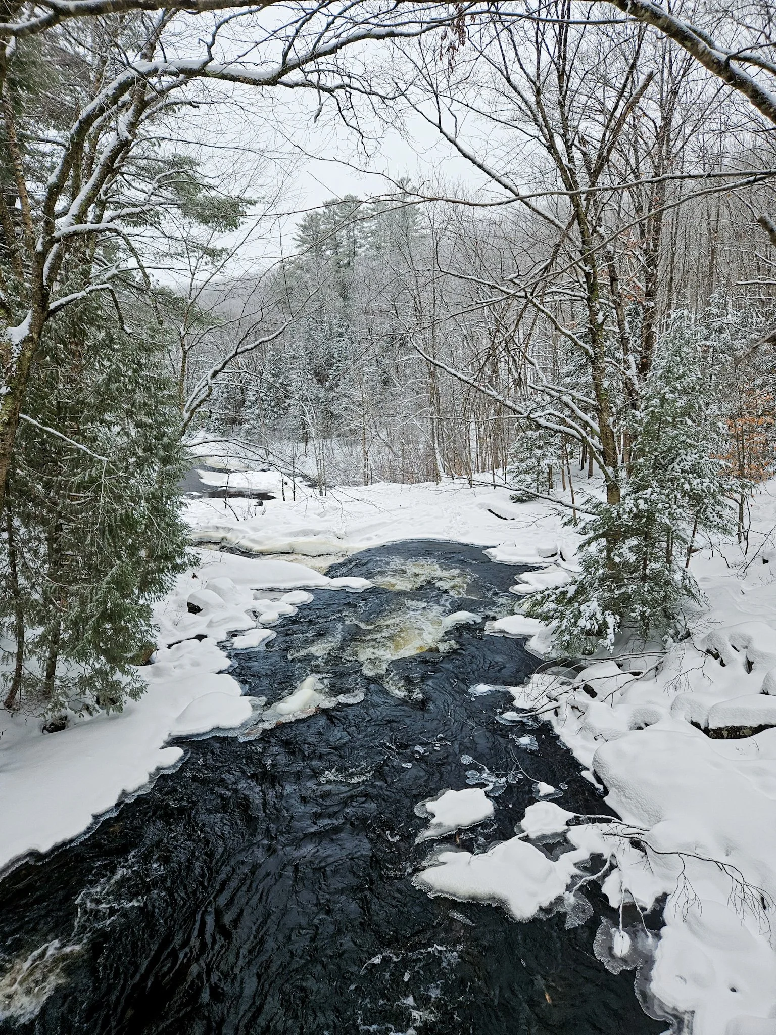 The Best of a Long, Cold Winter