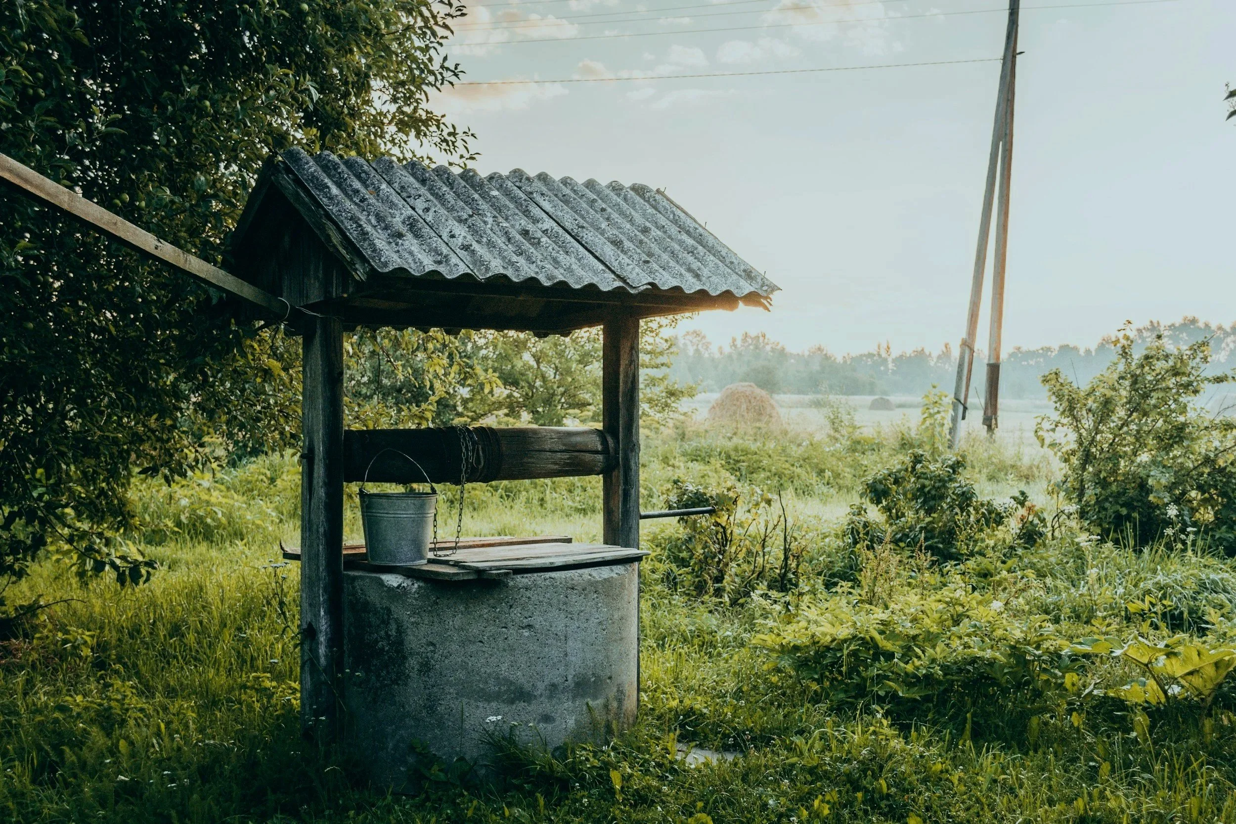 A rural scene featuring an old hand pump well with a metal bucket hanging from a chain, surrounded by green grass, bushes, and trees, with power poles in the background and a cloudy sky overhead.