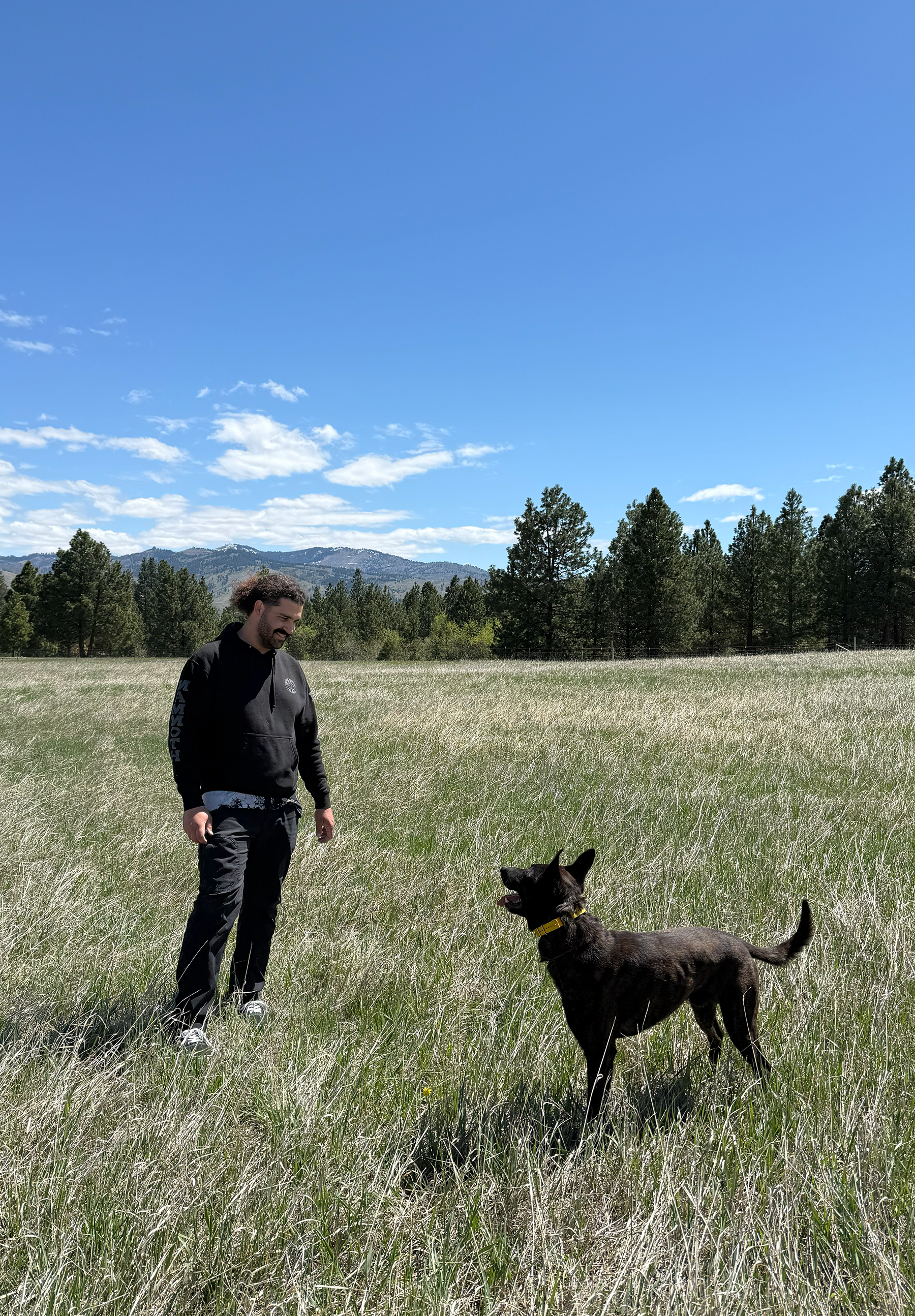 A man stands in a grassy field with a black dog that is lying down. The man is smiling and looking at the dog. The background shows a line of trees, distant mountains, and a partly cloudy blue sky.