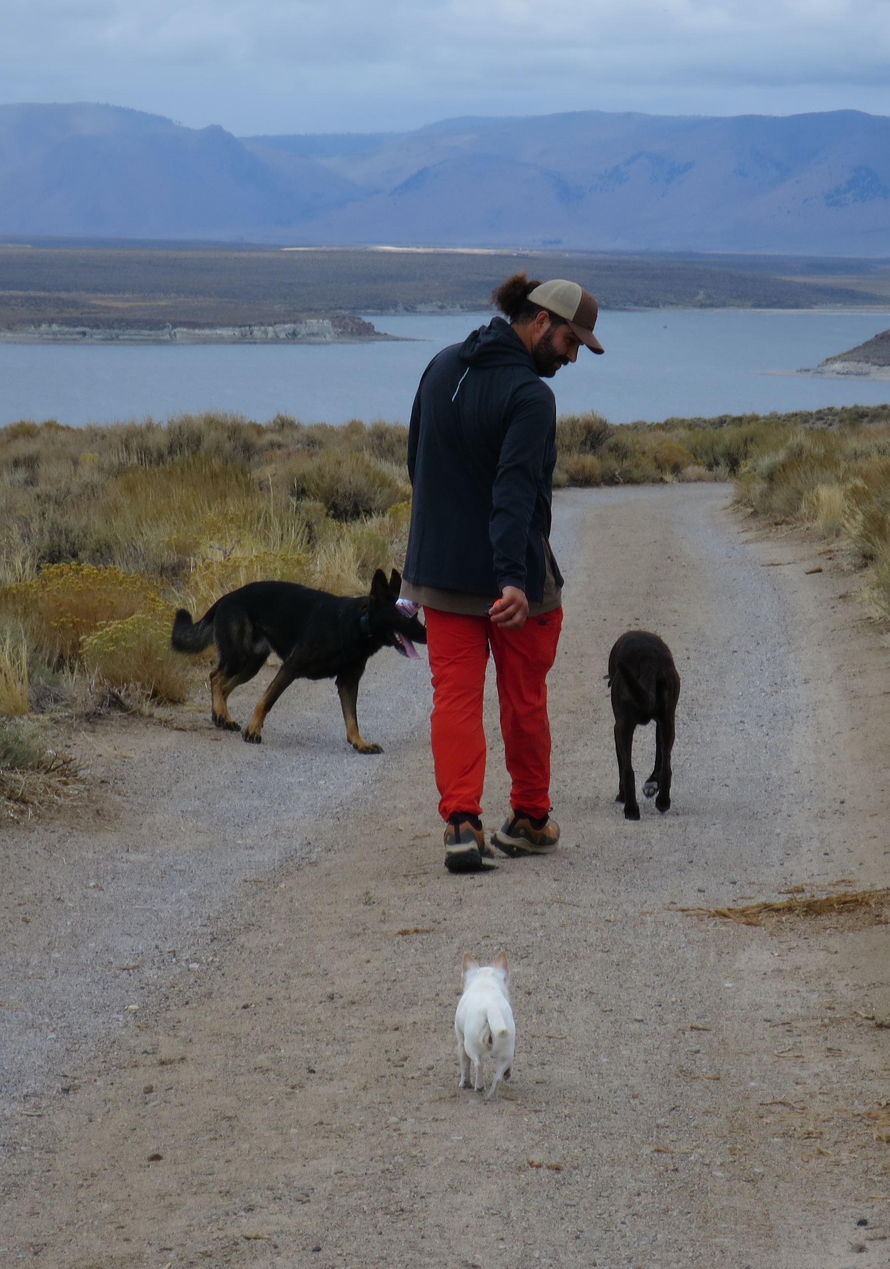 A man walks with two dogs on a dirt trail beside a body of water with mountains in the background. One dog is black and tan, the other is black, and a small white dog walks ahead.