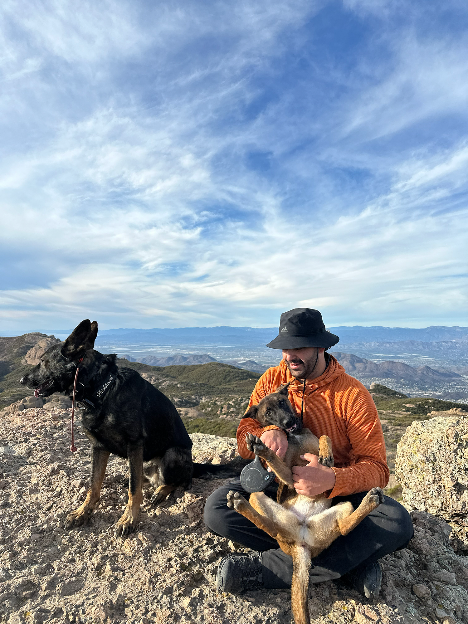 A man with a black bucket hat and orange jacket sitting on rocky terrain, holding a playful puppy. Two other dogs are also present, one standing on the rocks and another partially visible. The background features a mountainous landscape, with a partl
