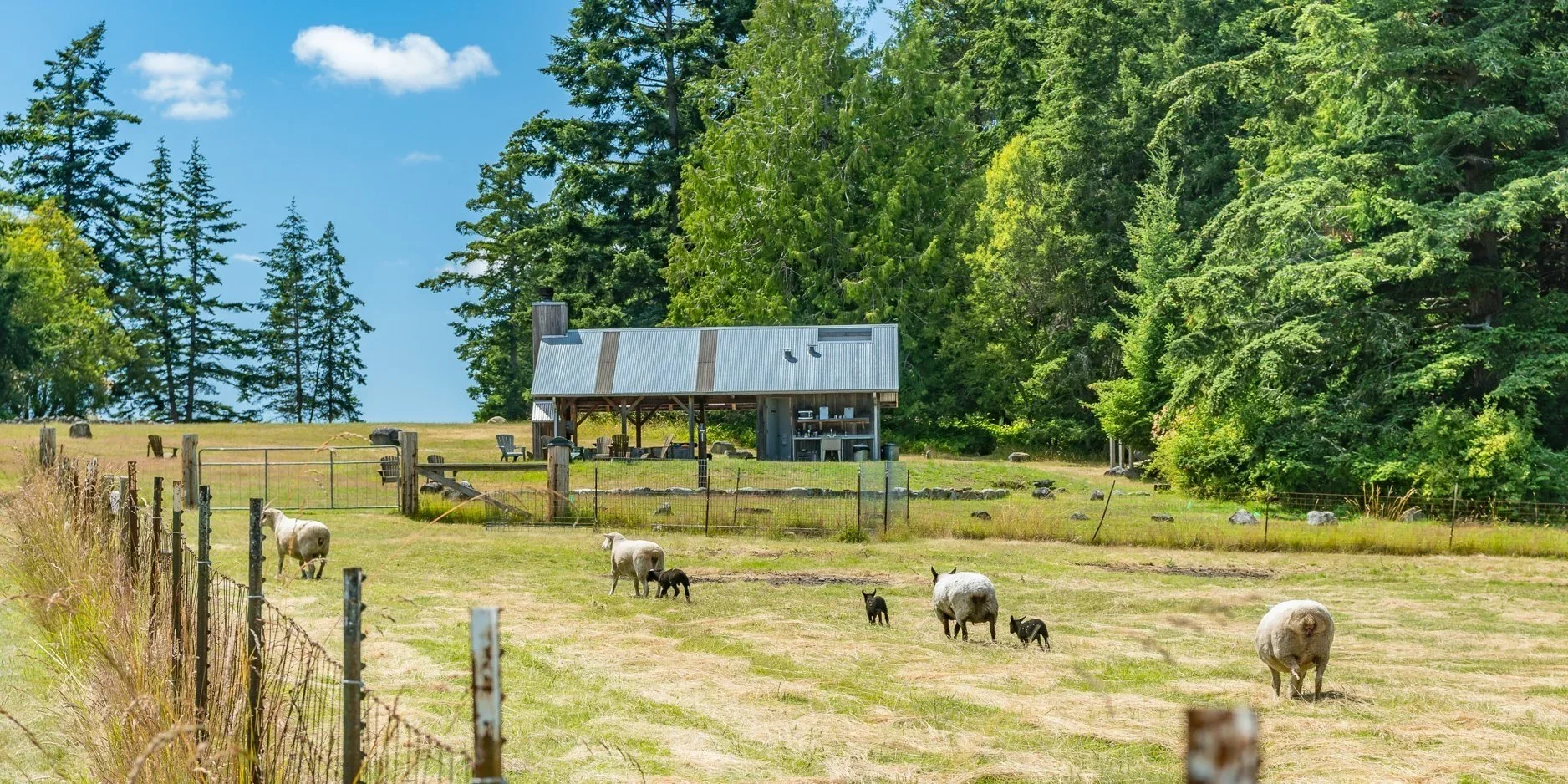 Lopez Farm Cottages