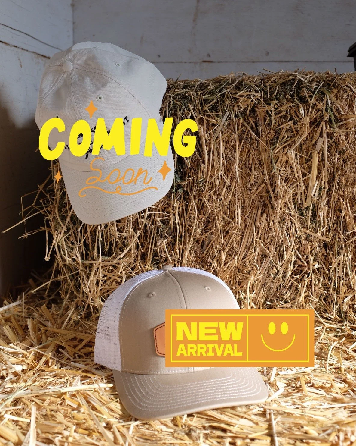 New arrivals are blooming soon! 
We might be wearing one&hellip; and sticking one on everything we own 😉
Any guesses what&rsquo;s hiding under these little graphics? 👀
.
.
.
#HillsideHarvest #FarmstandStyle #CentralCoastFarms #CaliforniaGrown #Supp