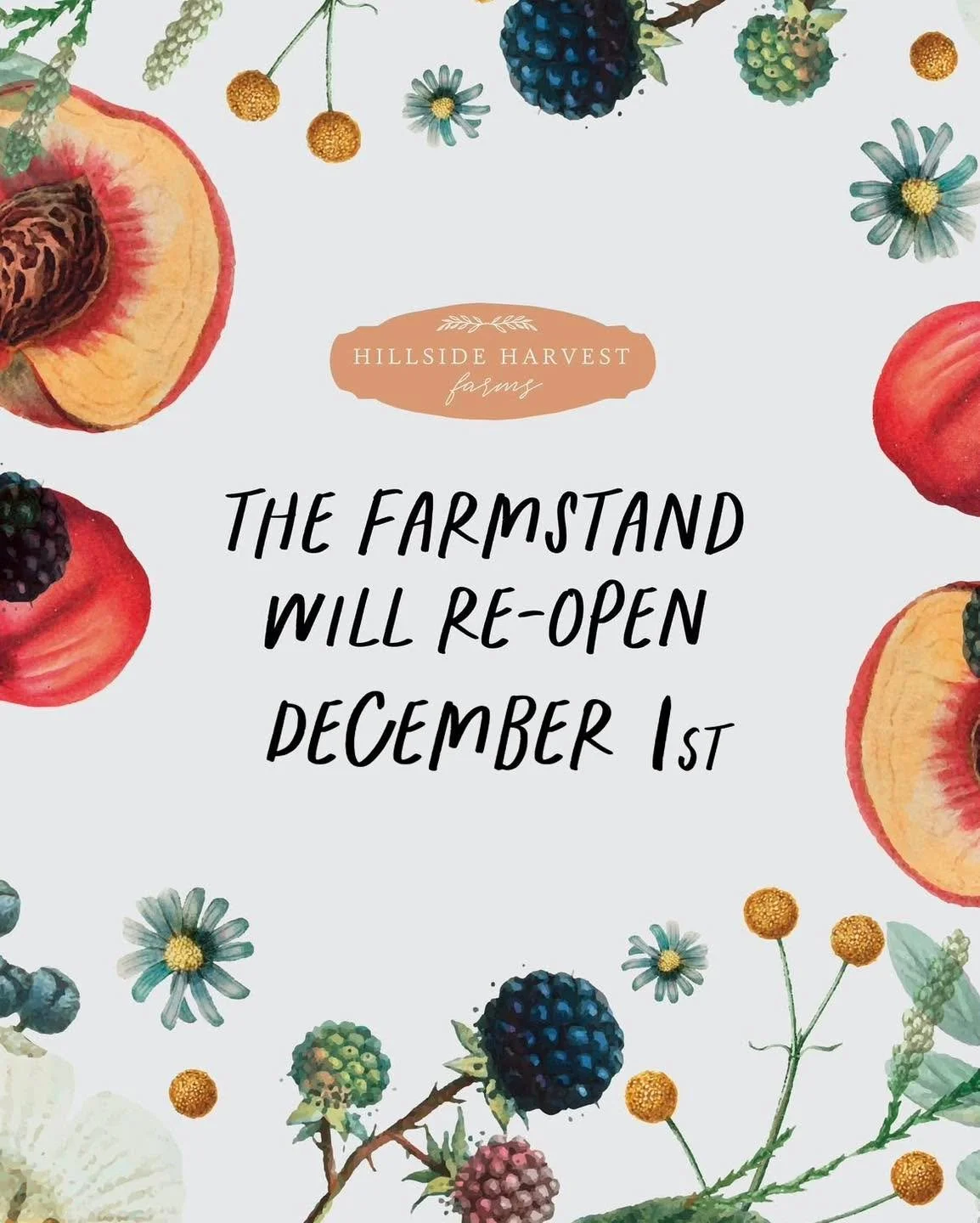 We&rsquo;re pressing pause at the farmstand to celebrate the holiday with our families. 🧡
We&rsquo;ll reopen December 1st with new fresh-picked goodies and all the cozy seasonal vibes. 🍂🍁🥧
Happy Thanksgiving from Hillside Harvest Farms!
.
.
.
#Hi