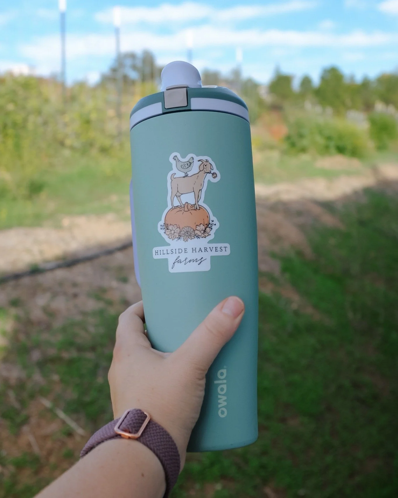 Did we mention we have stickers too?? 😆
Our newest Hillside Harvest stickers are here; they&rsquo;re small, sweet, and made to spread a little joy.

Each high quality die cut sticker is printed on a thick, durable vinyl, so they're perfect for water