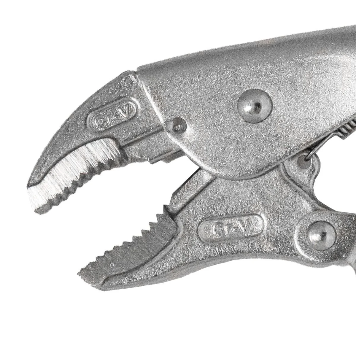 PP-0015_3.jpg
