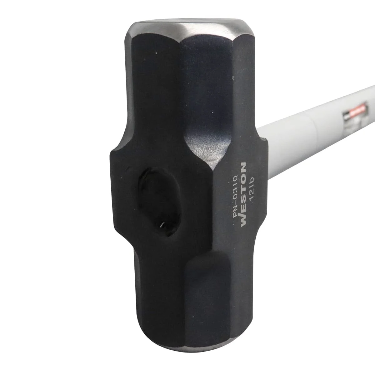 PN-0310_2.jpg