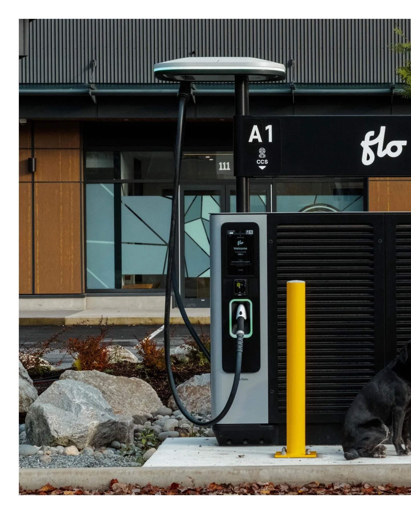 It&rsquo;s been a pleasure collaborating with the Seagull Electric team over the past few months to bring their business to life digitally. 

Established by Johnny&rsquo;s family in 1969, they have grown into a trusted electrical contractor specializ