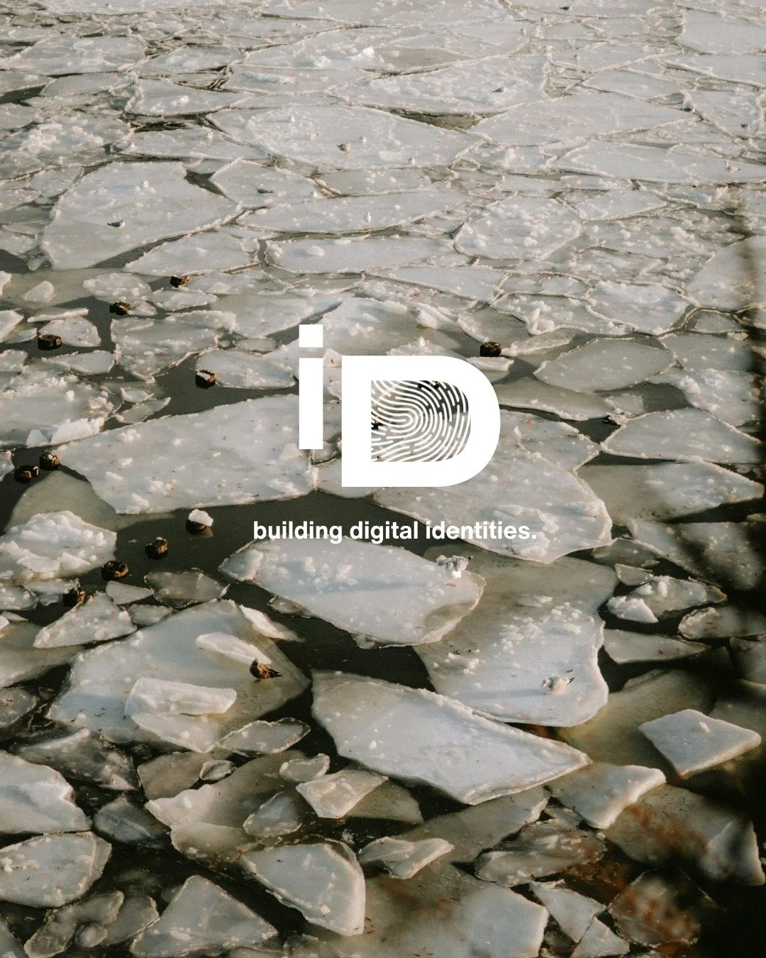 Most marketing gets ignored. We make sure yours doesn&rsquo;t.

Websites. SEO. Socials. 
Built to help service businesses stand out in a crowded market.

Different. Bold. Eye-catching.

That&rsquo;s the standard at IPSOOT DIGITAL. 🩵