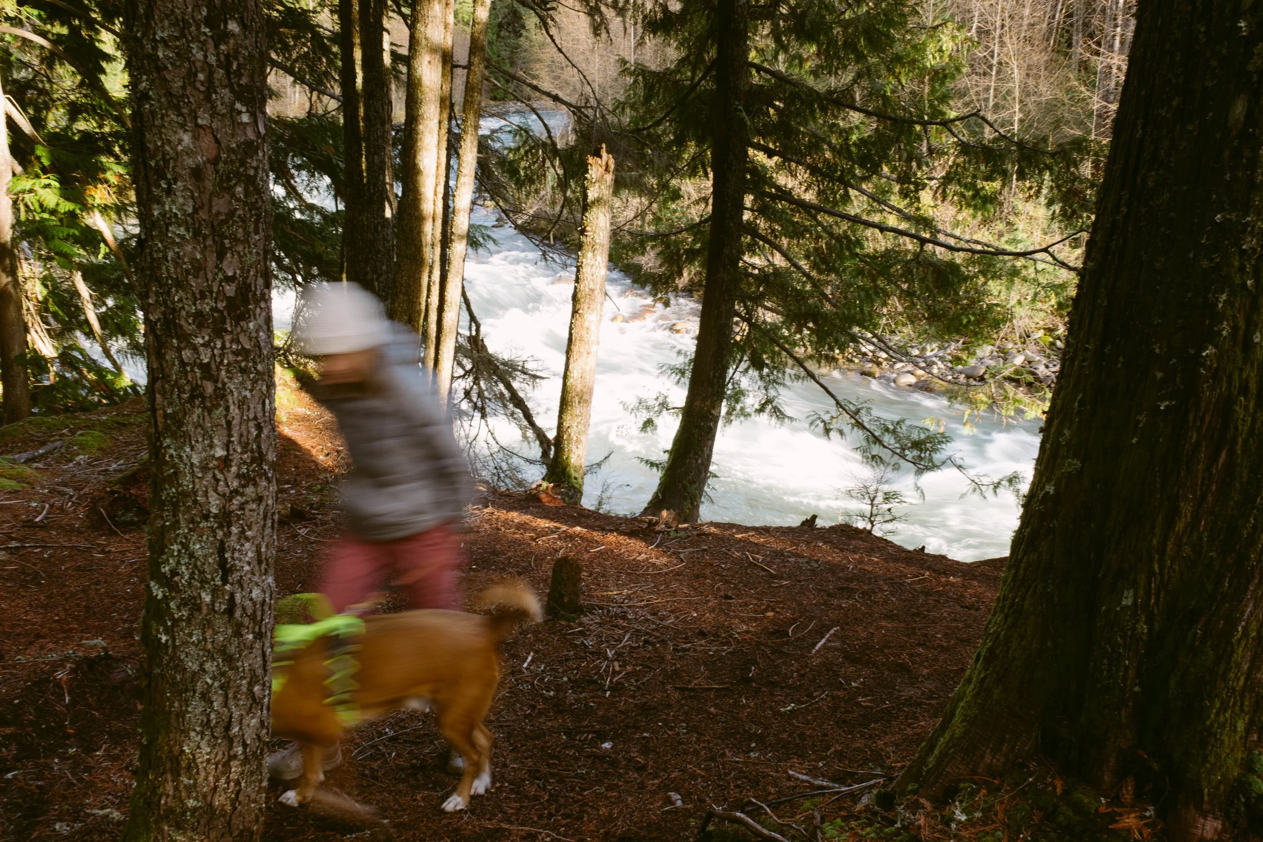 Social Media Marketing Pemberton BC