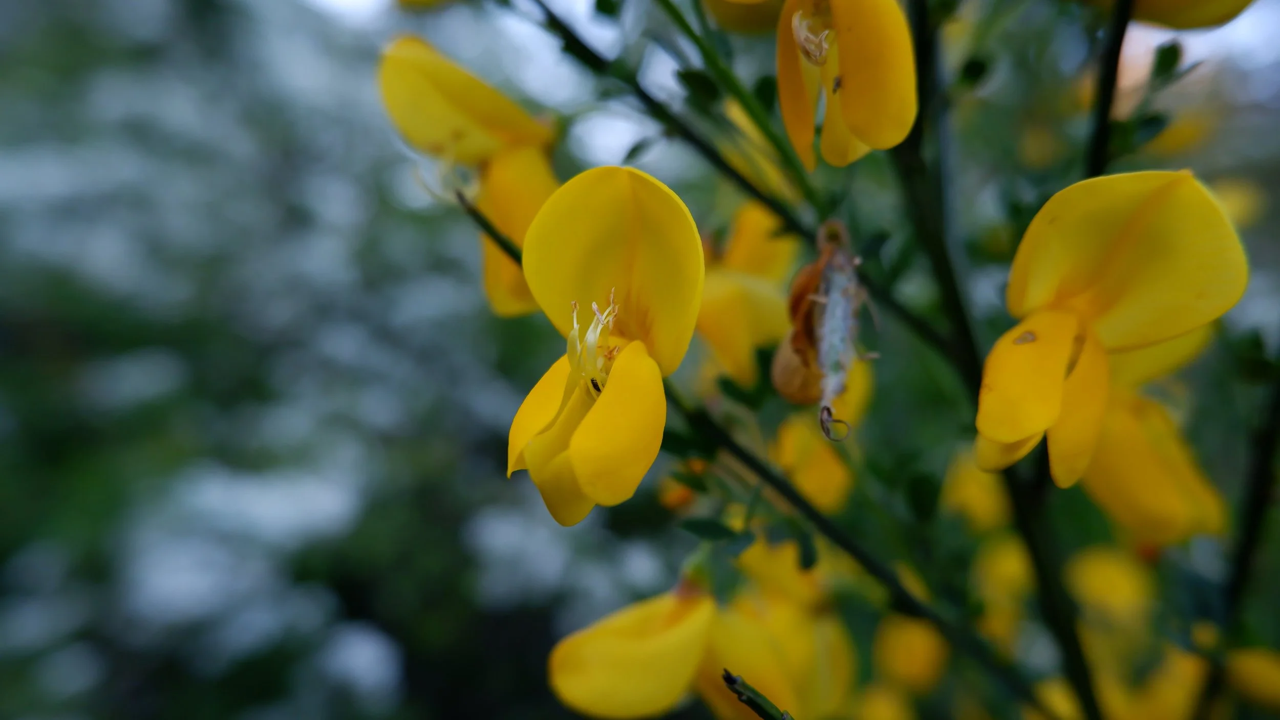 DSCF1496.JPG