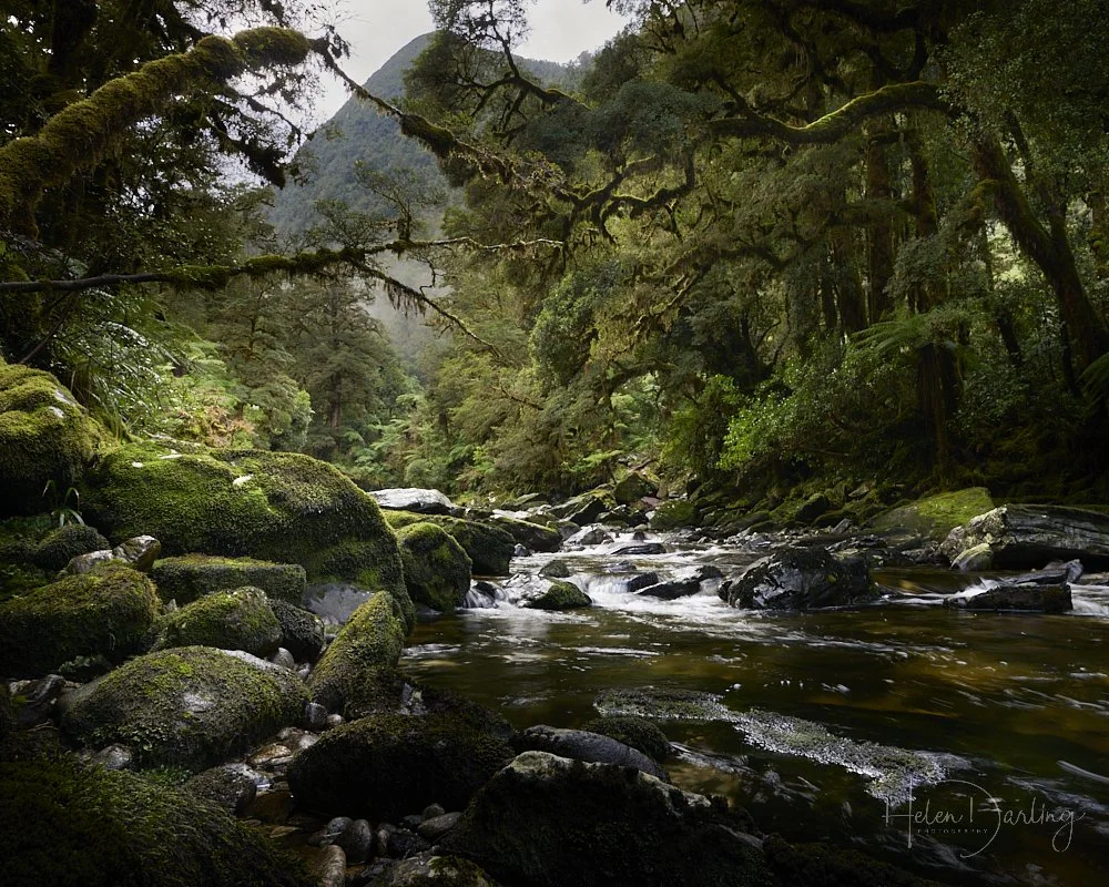 Fiordland National Park