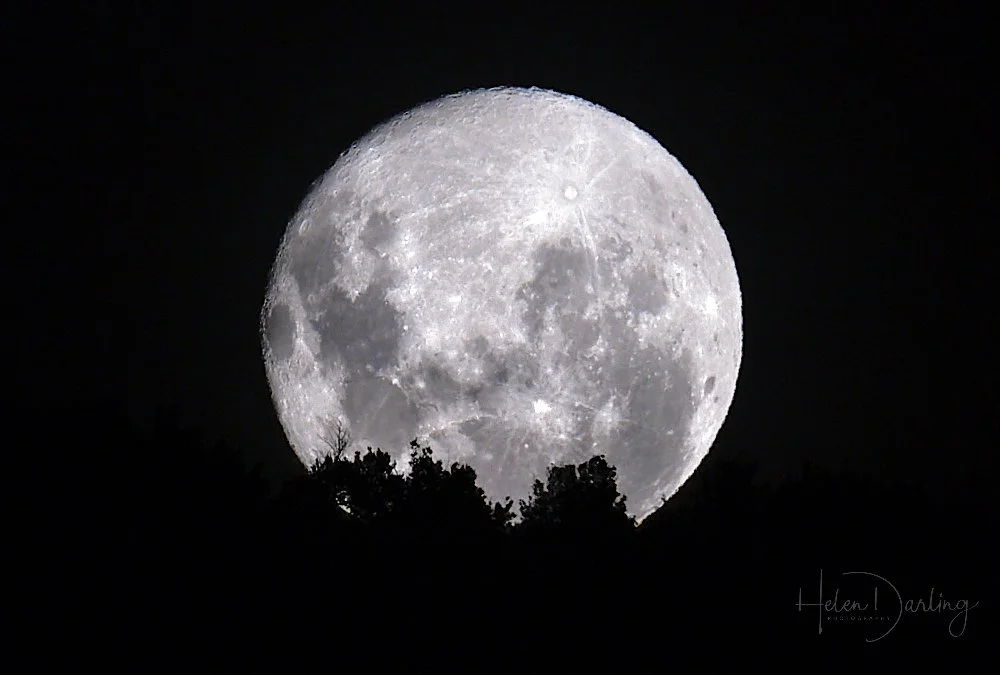Full moon rising - Fiordland