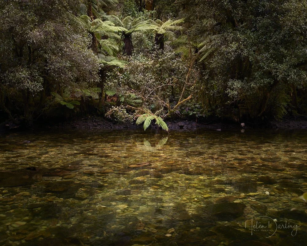 Fiordland National Park