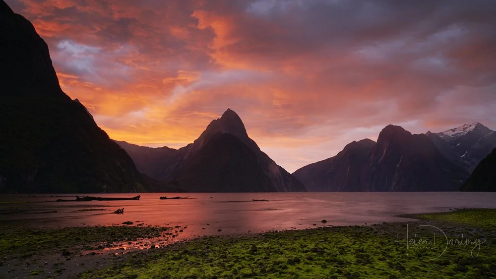 Milford Sound