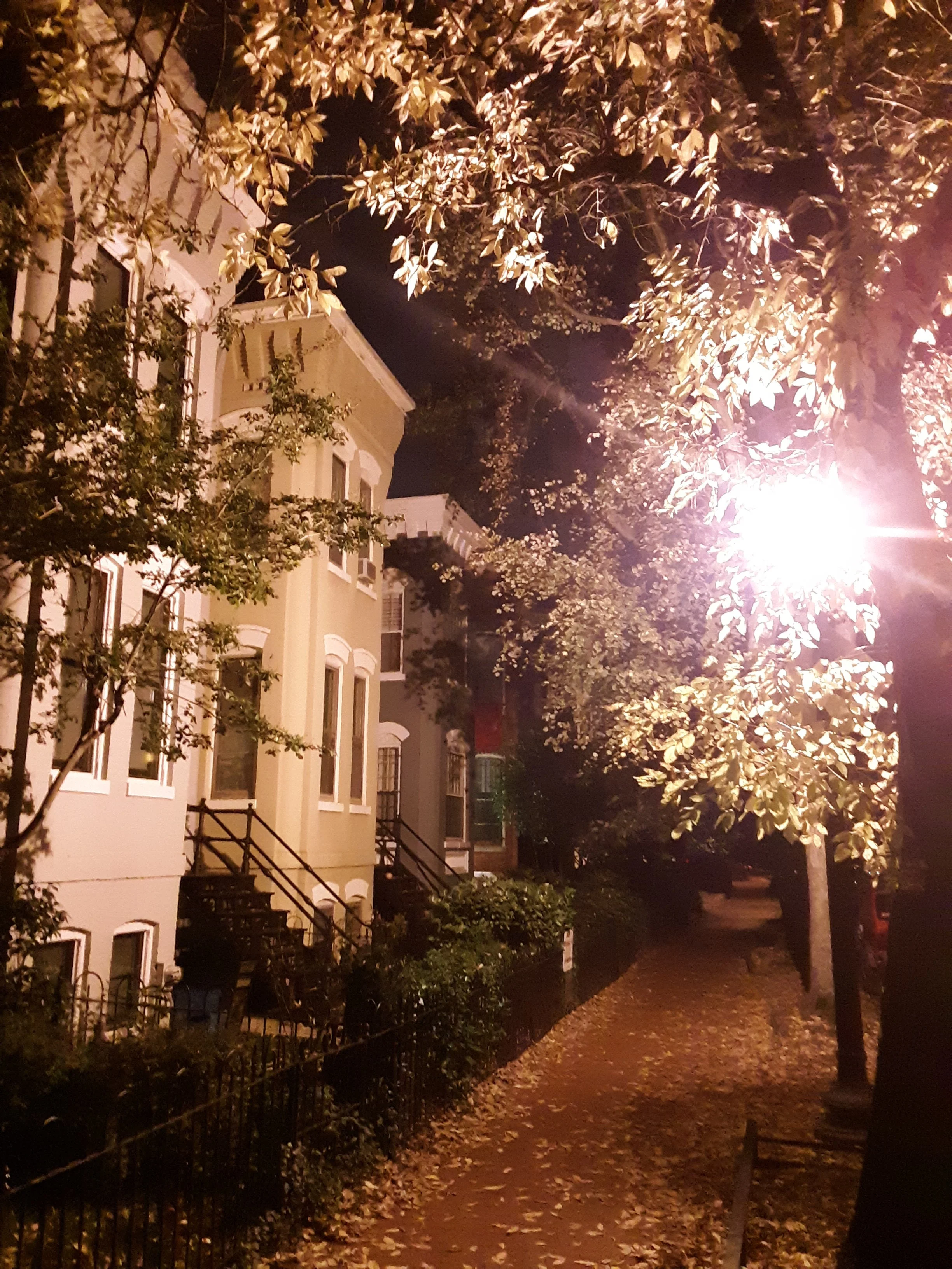 Potentially harmful nighttime light varies by Ward&nbsp;in Washington DC, new DarkSky DC study shows