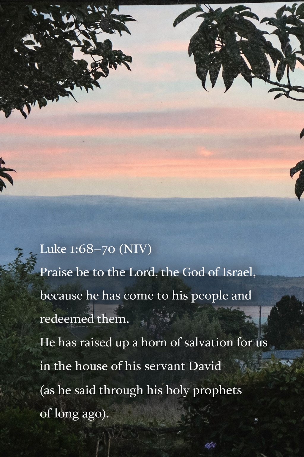 He has come to His people 