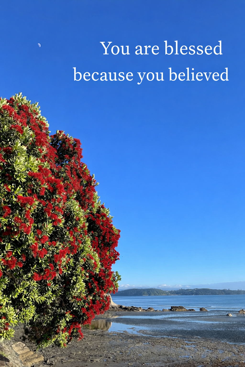 Blessed Because You Believed