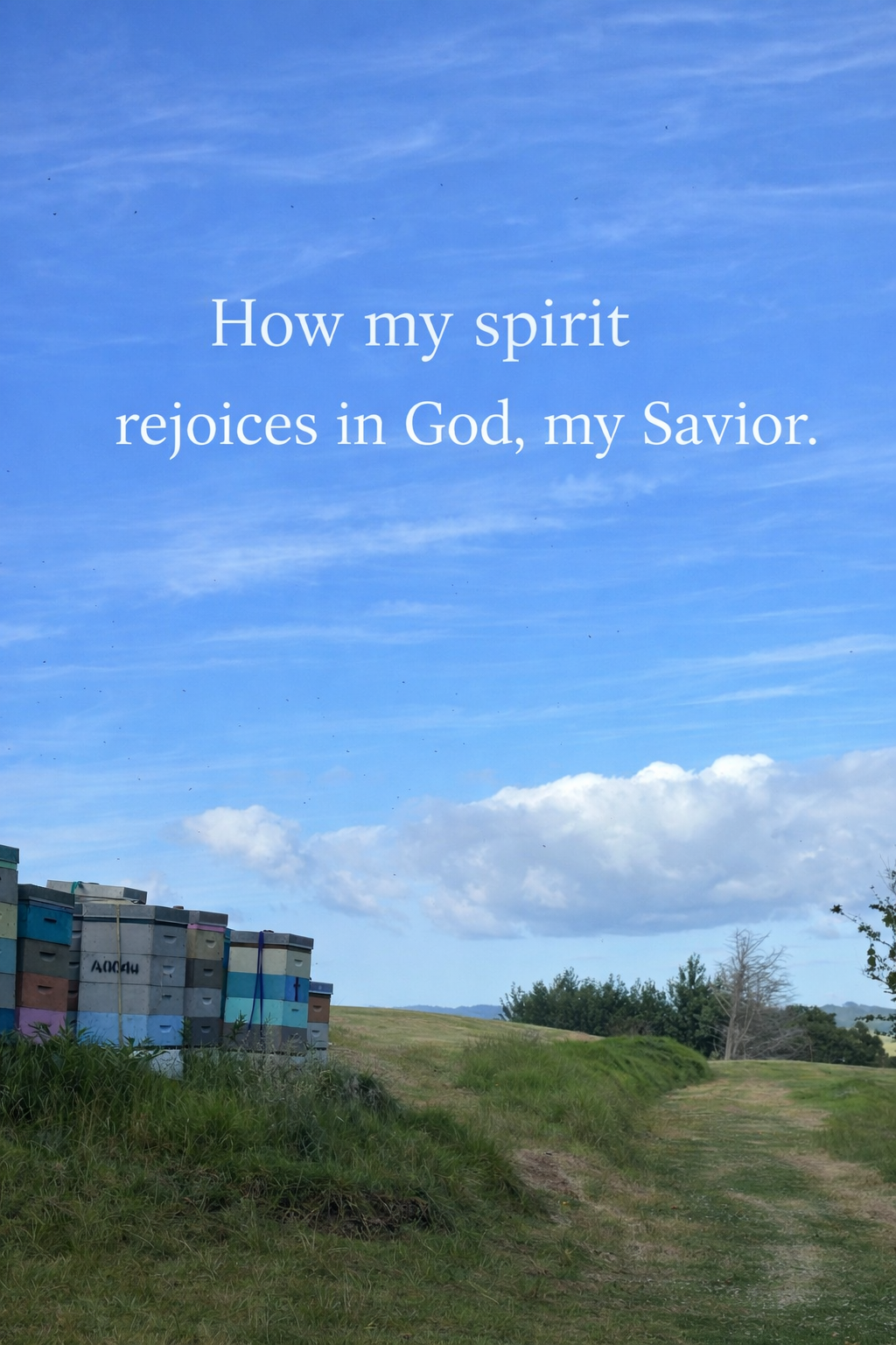 My spirit rejoices in God my Saviour