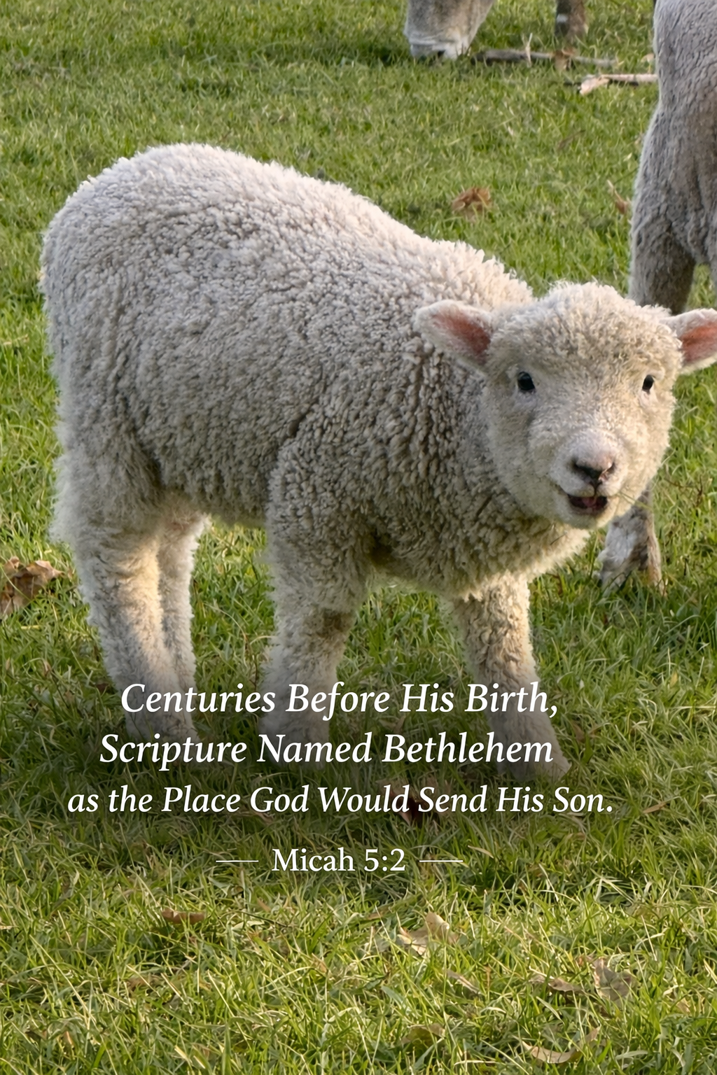 Just Another Night… Until It Wasn’t