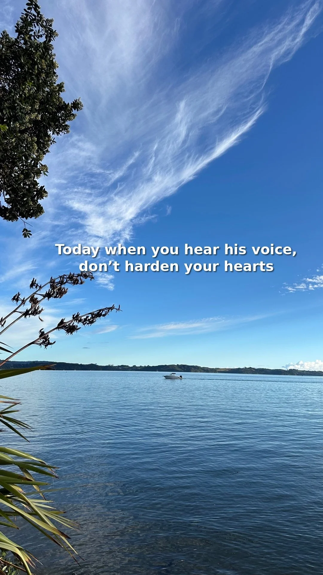 When God’s Voice Is Ignored, Fruit Disappears