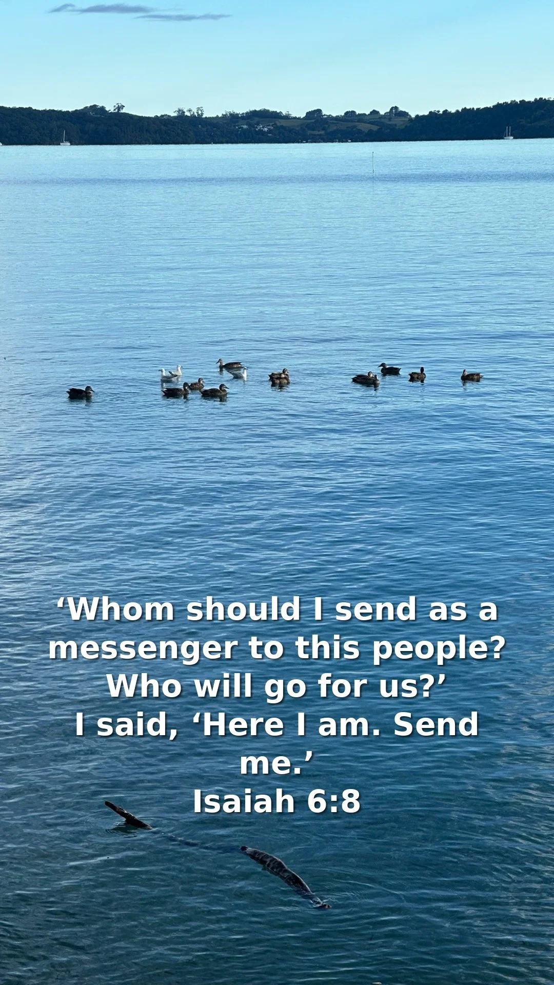 Trust Begins With Surrender