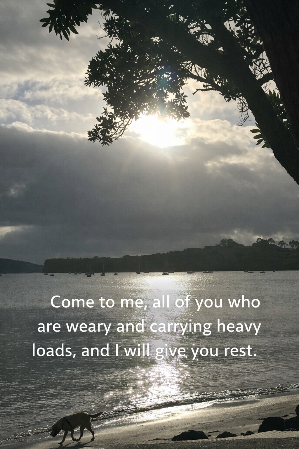 In Quietness and Trust Is Your Strength