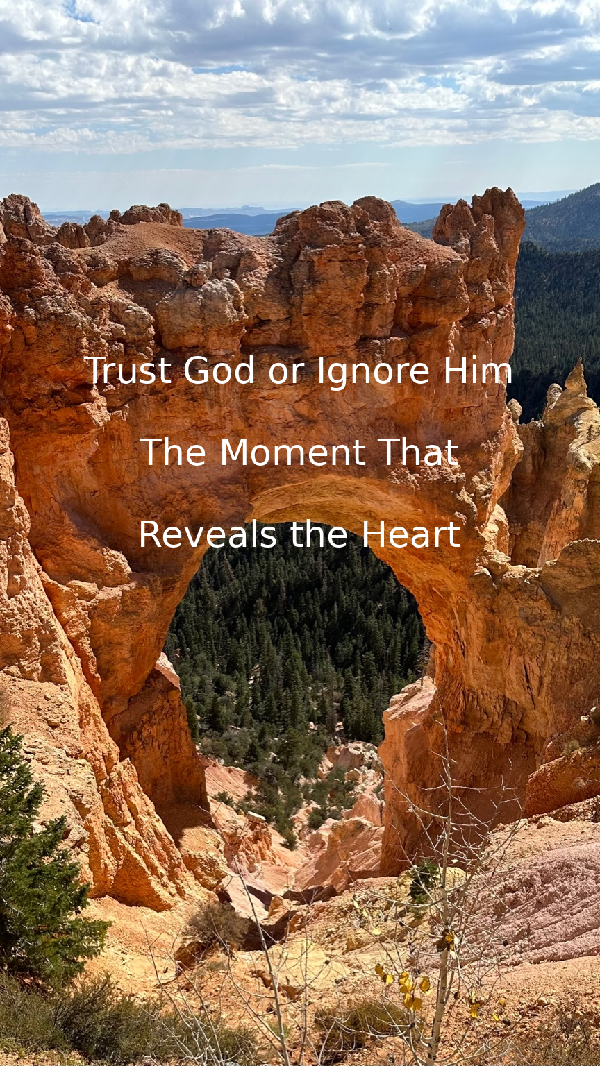 Trust God or Ignore Him — The Moment That Reveals the Heart