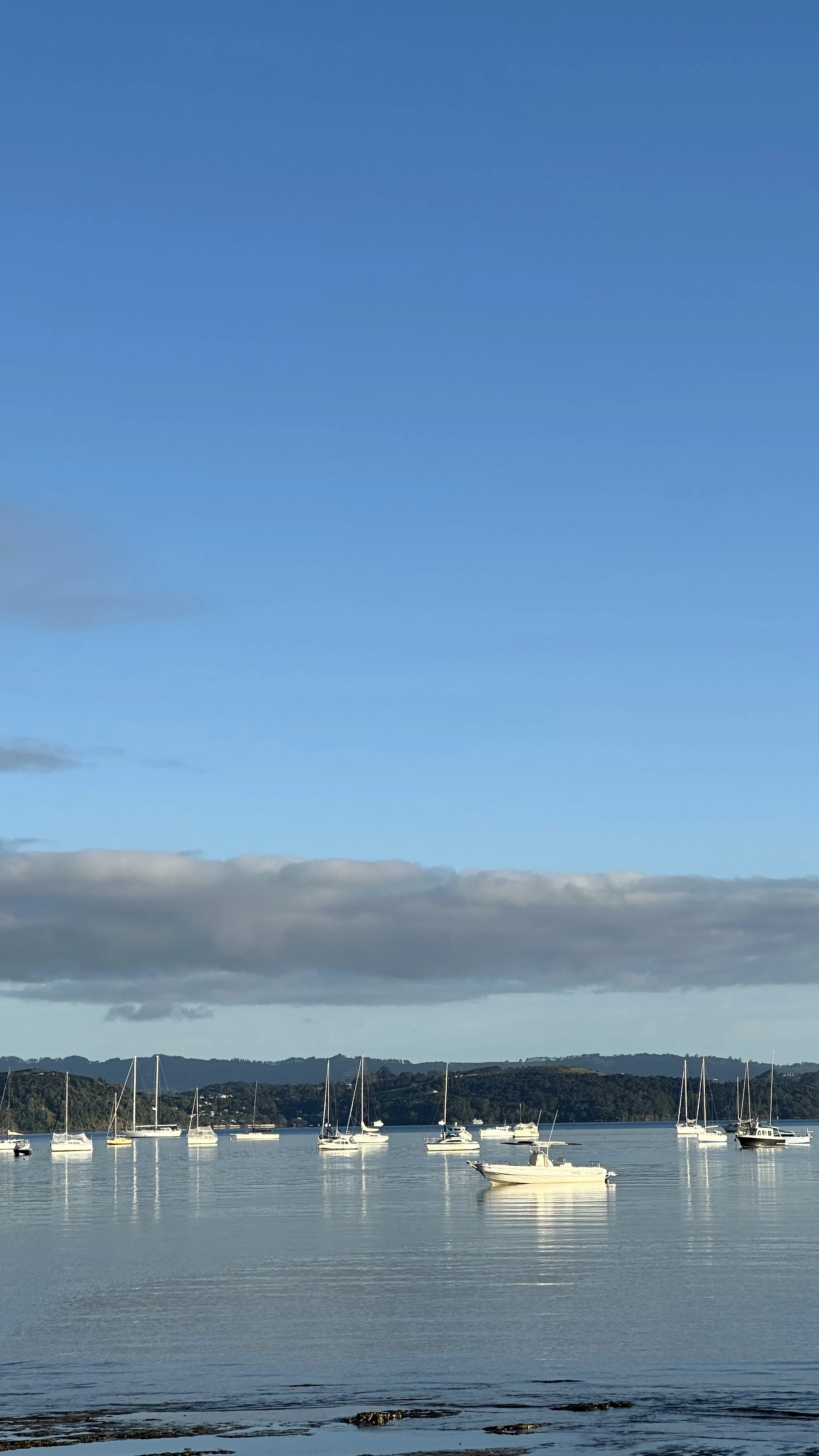 When Fear Takes the Lead