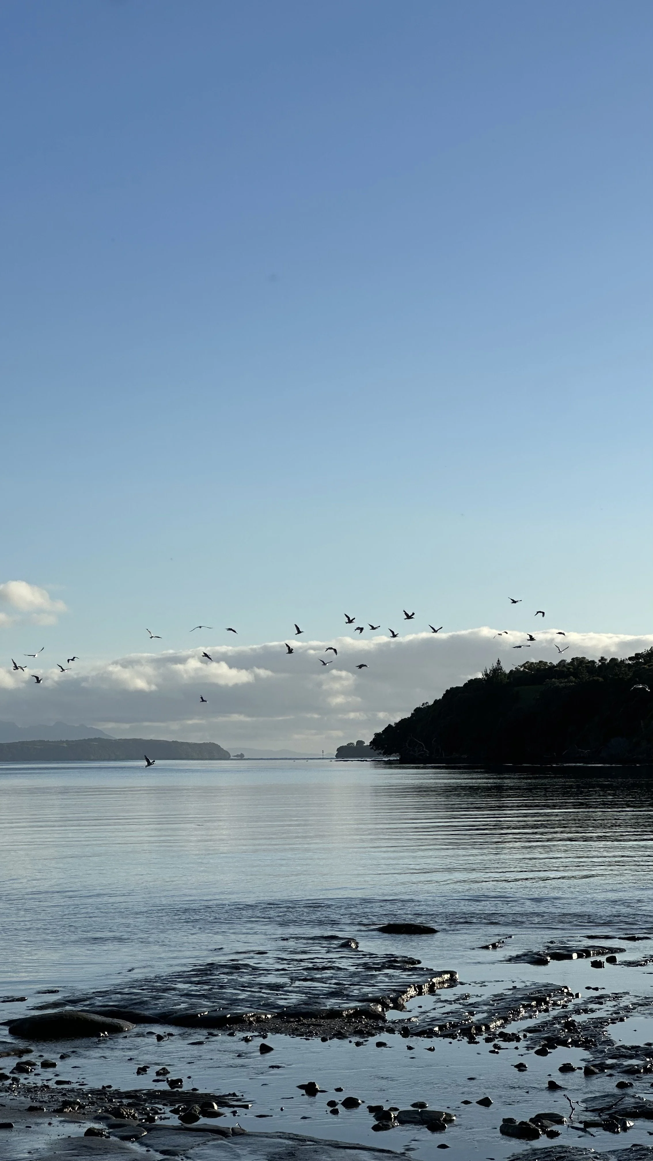 Where the Heart Looks for Security