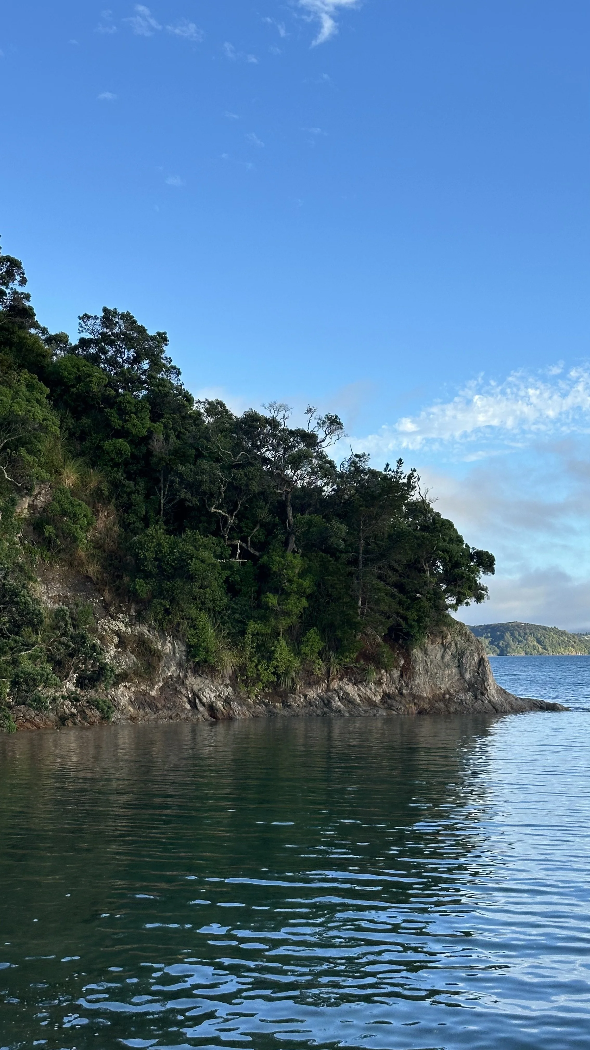 What the Heart Chooses Under Tension