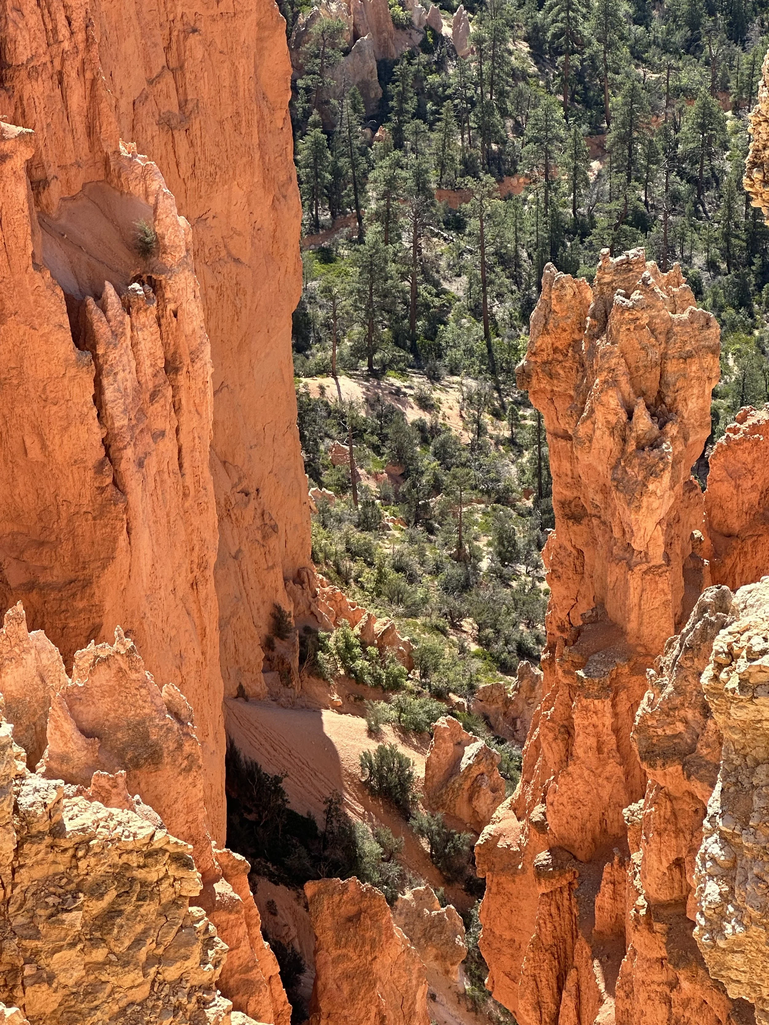 When God Has Already Spoken