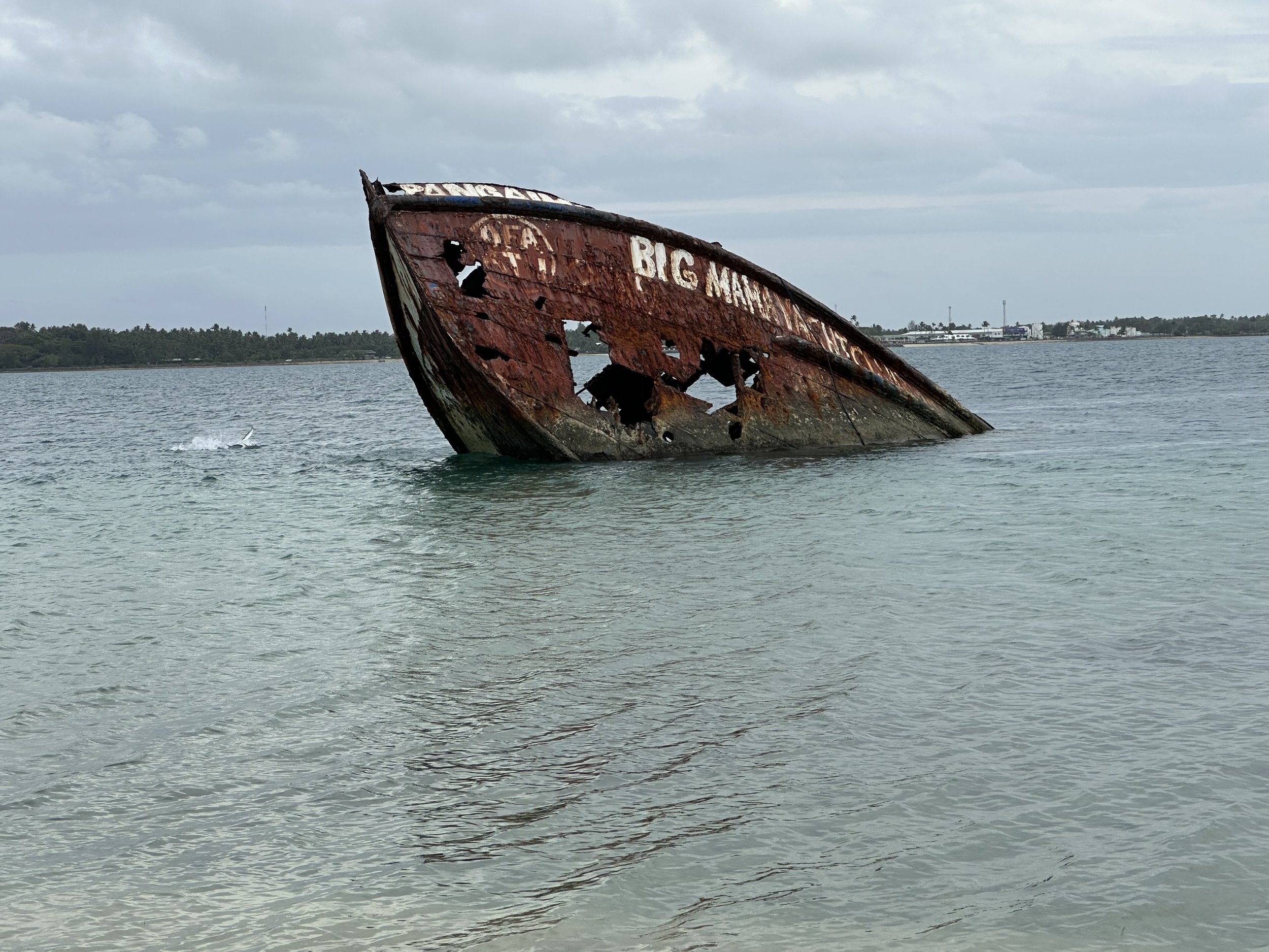 Trust Is Learned Over Time