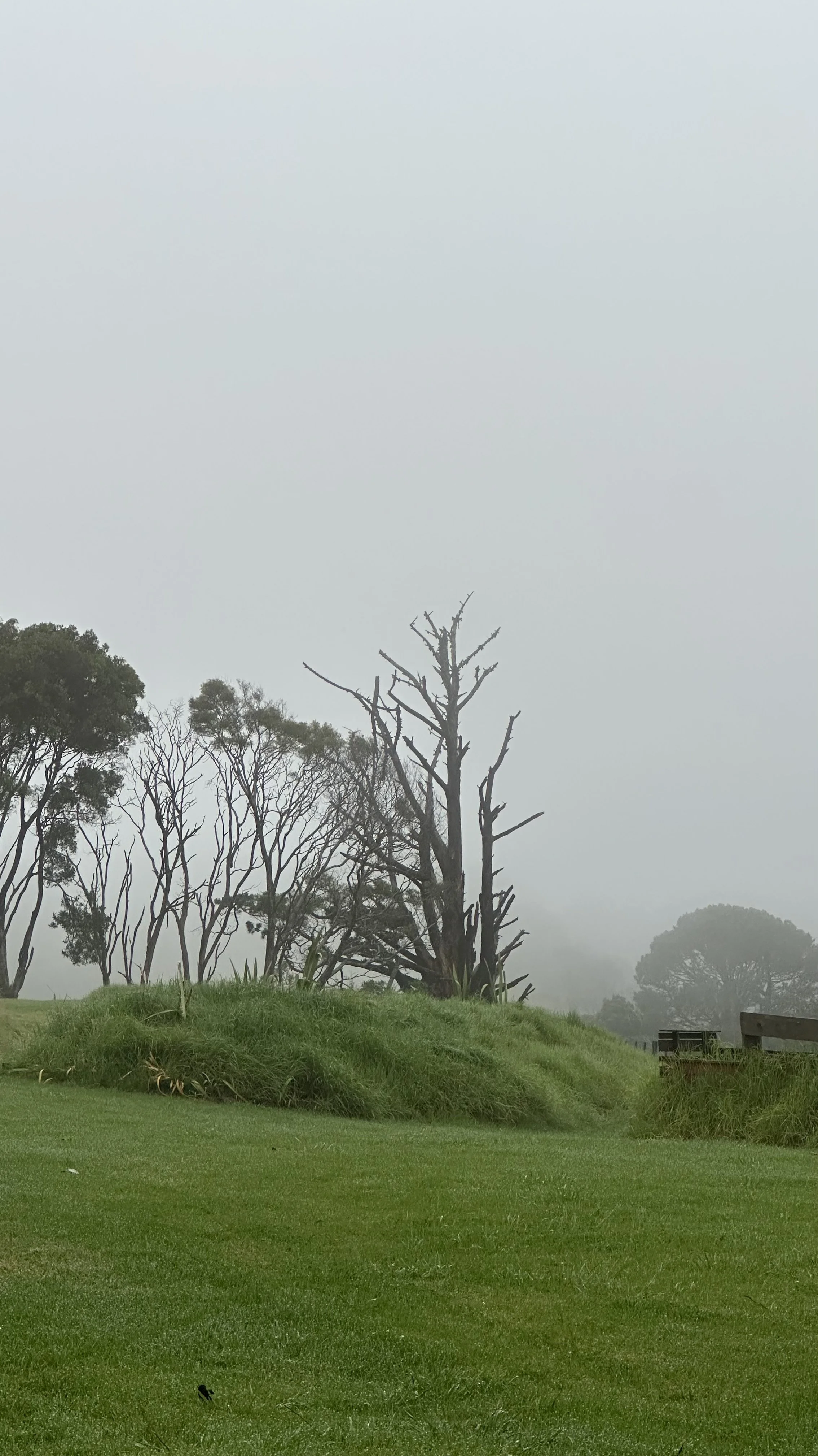 A Willing Heart Still Needs Saving