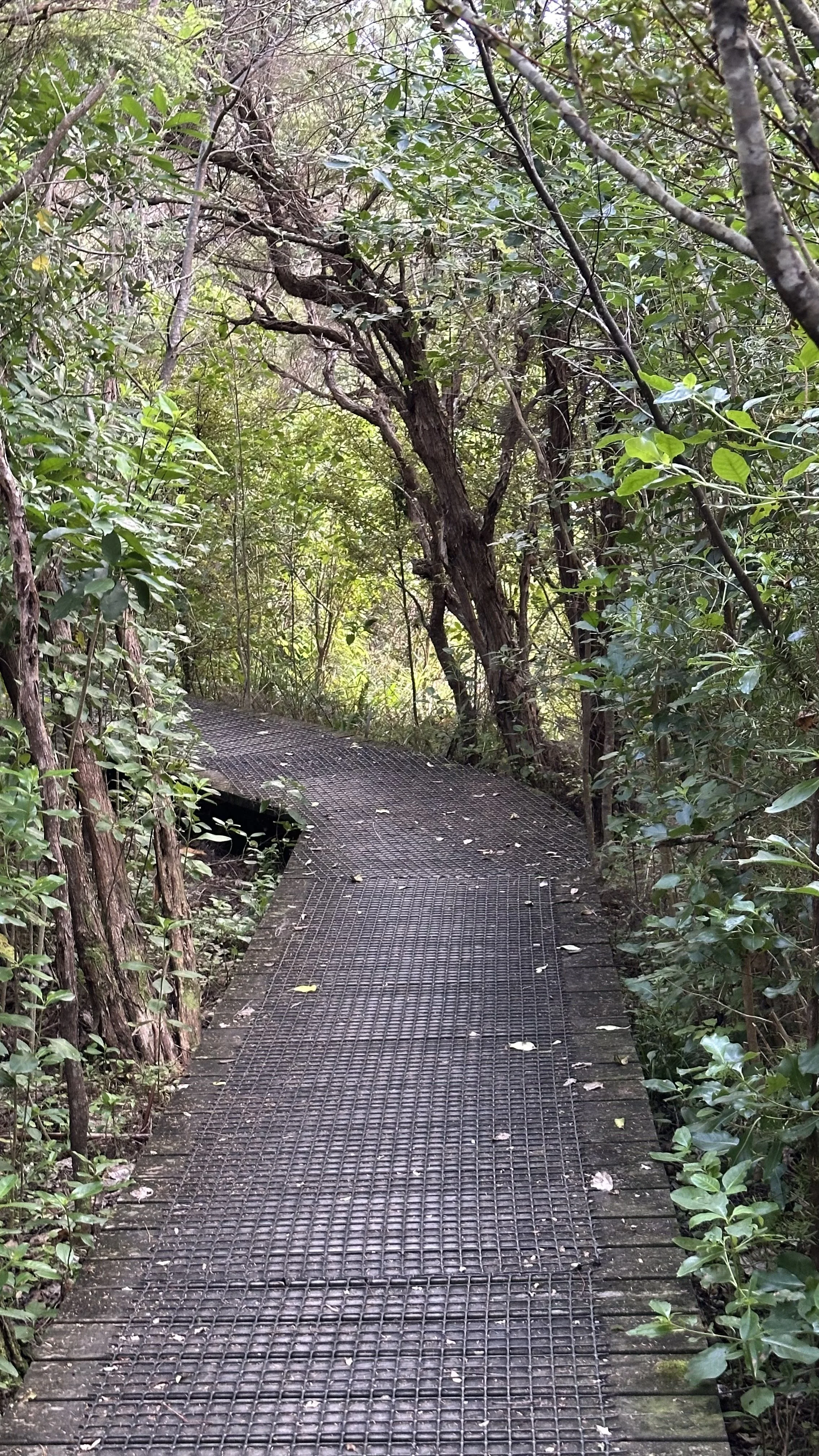 When Trust Costs Us Something