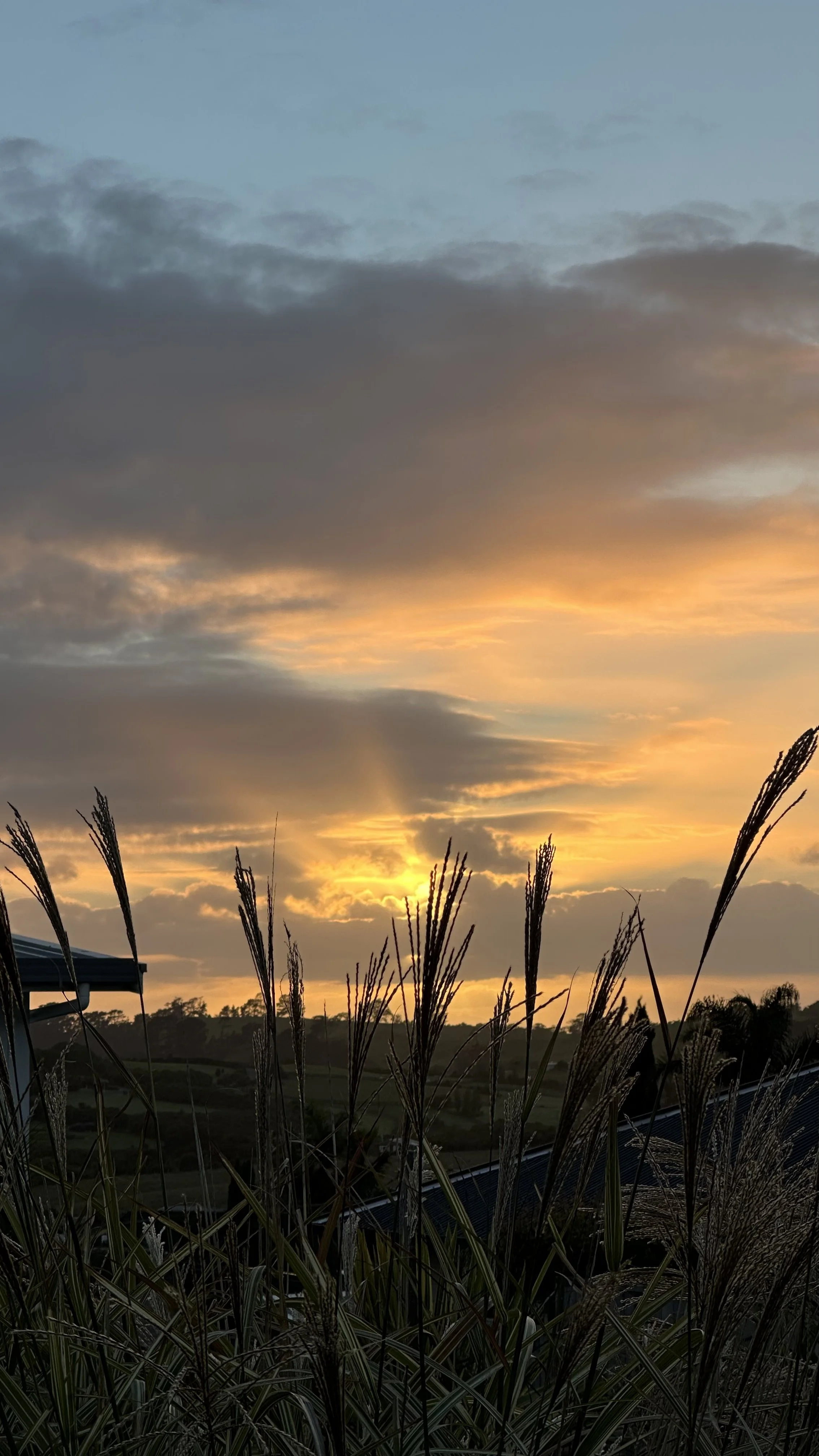 Hope Forms Before It Speaks