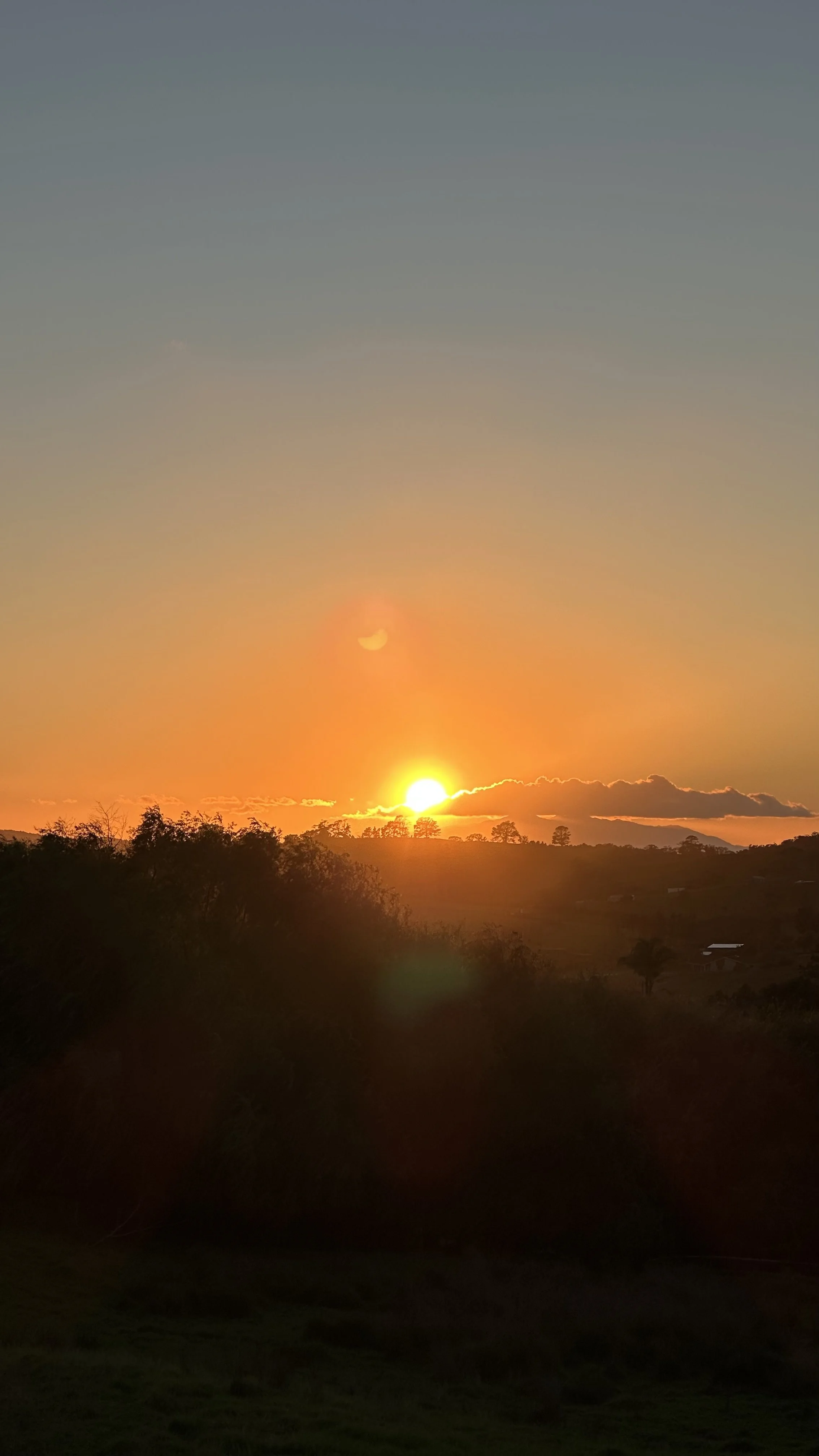 The Courtroom of History