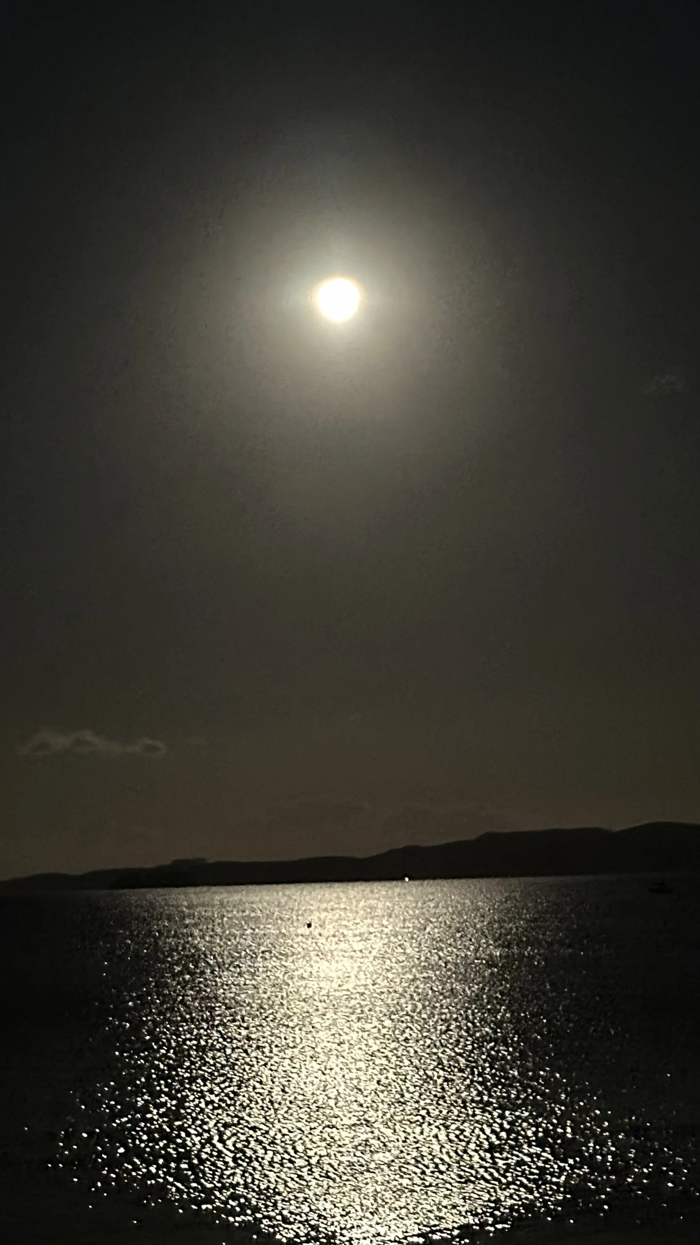 Fear Not, I Am With You