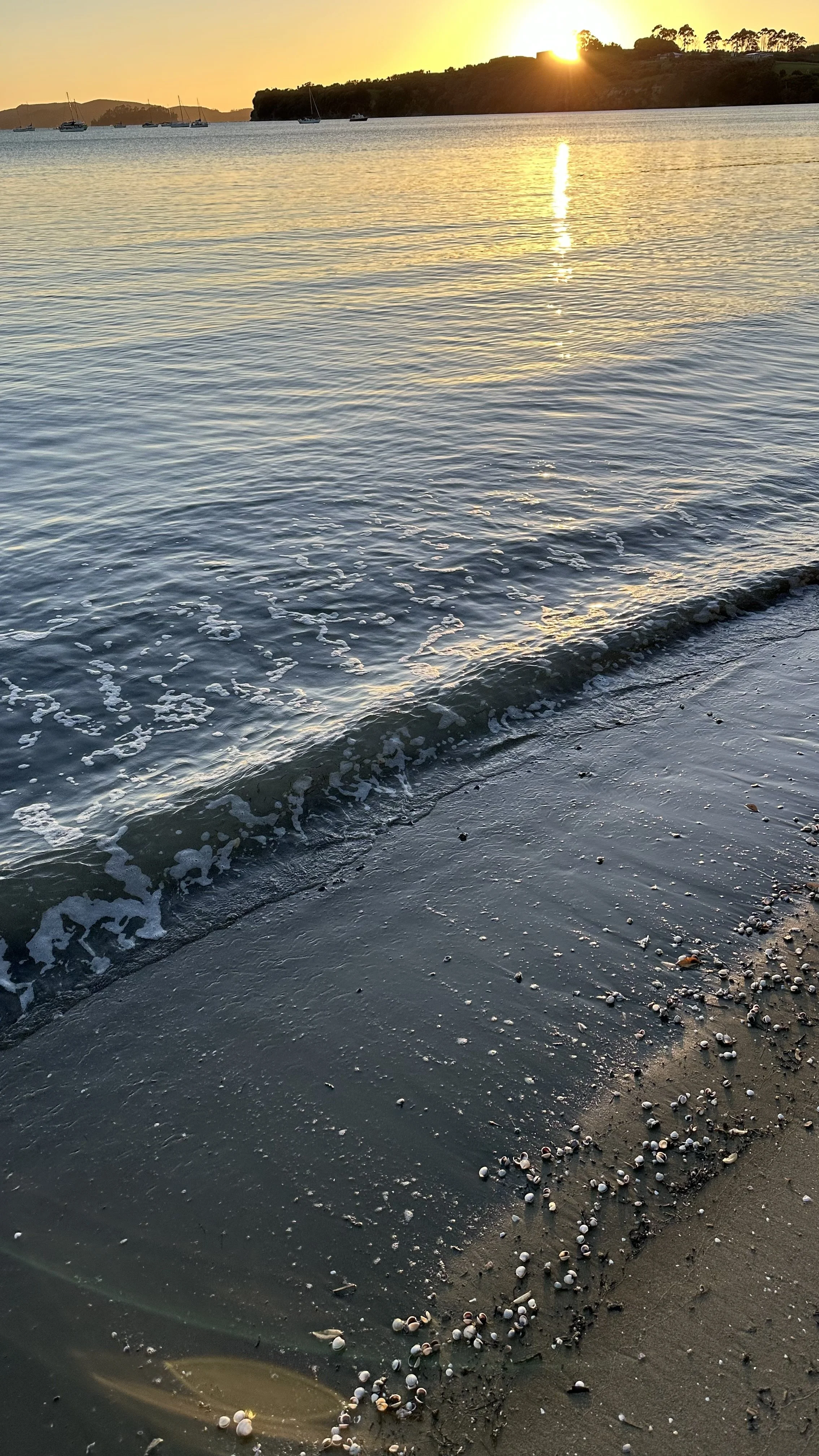 The Servant Revealed