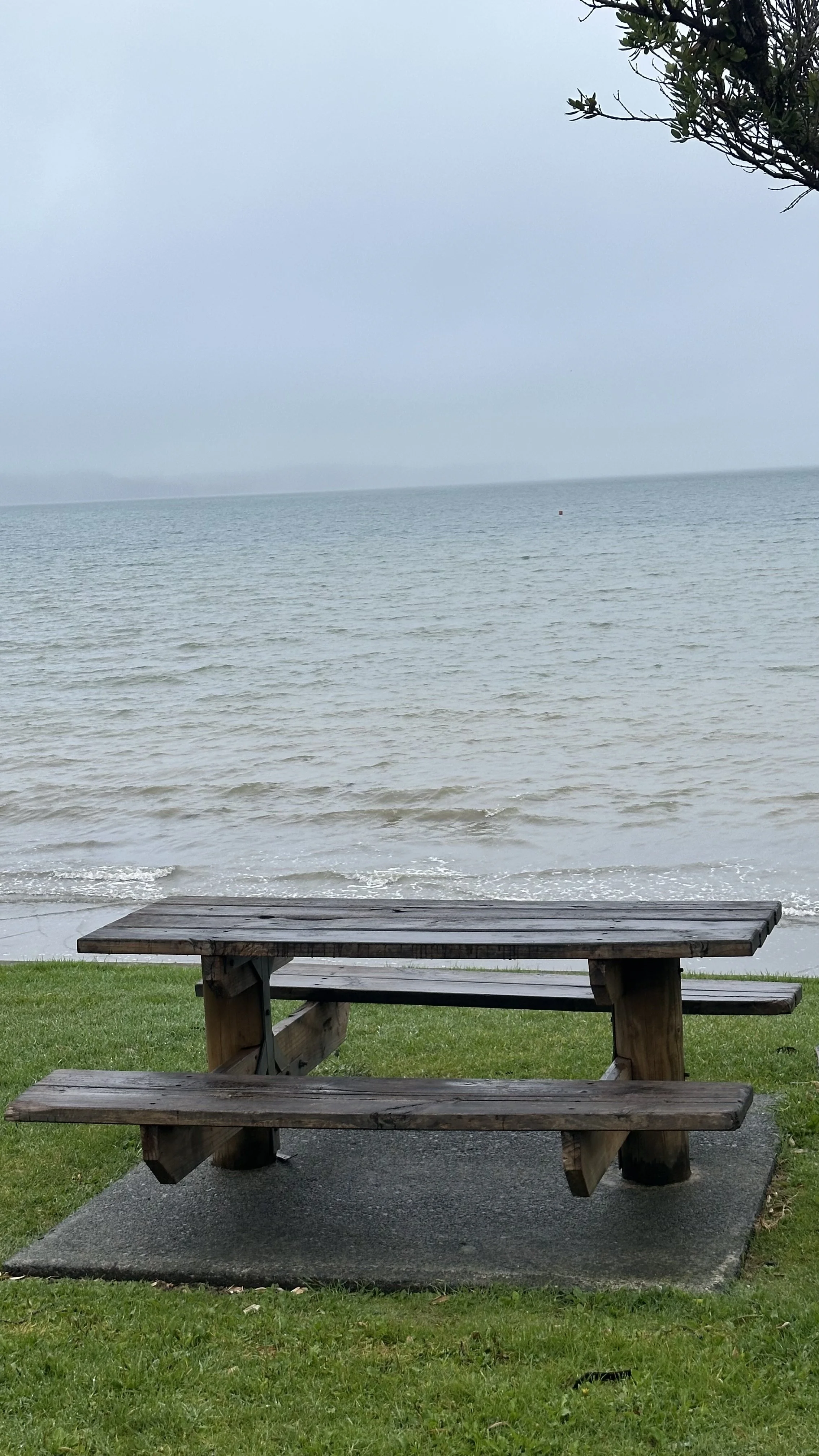 Declaring the Future