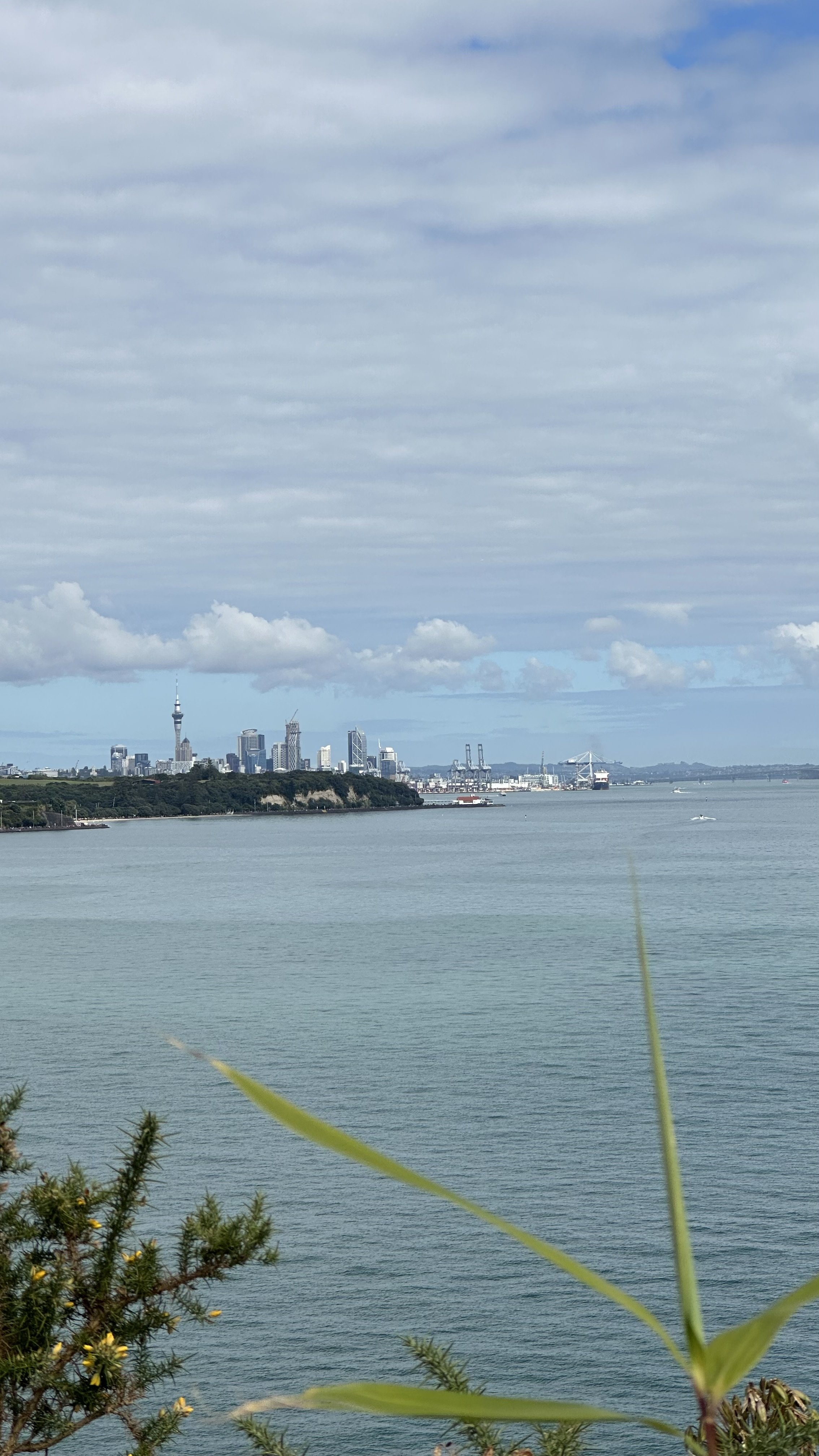 The Global Eruption of Praise