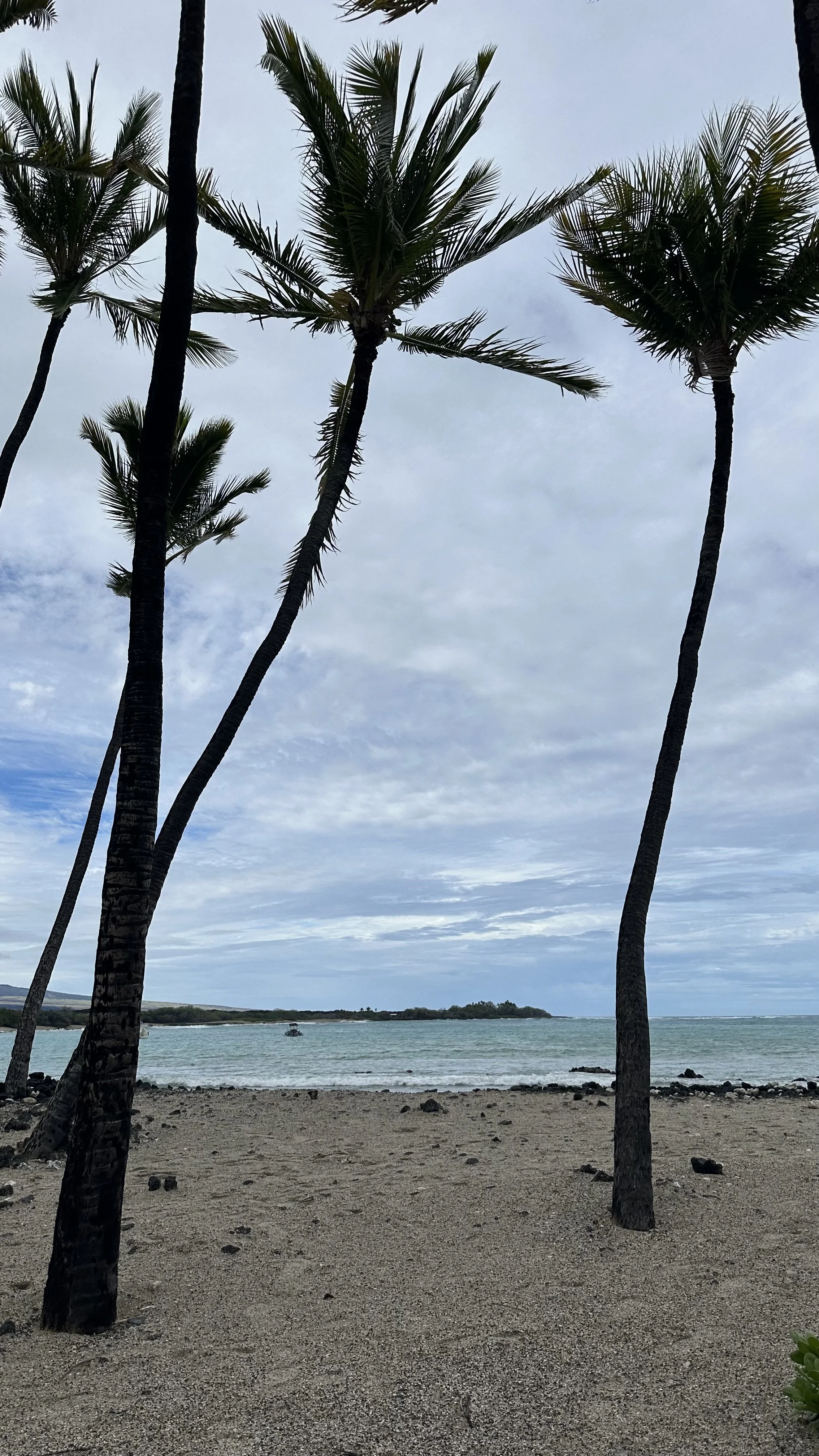 The Cost of a Blind Servant